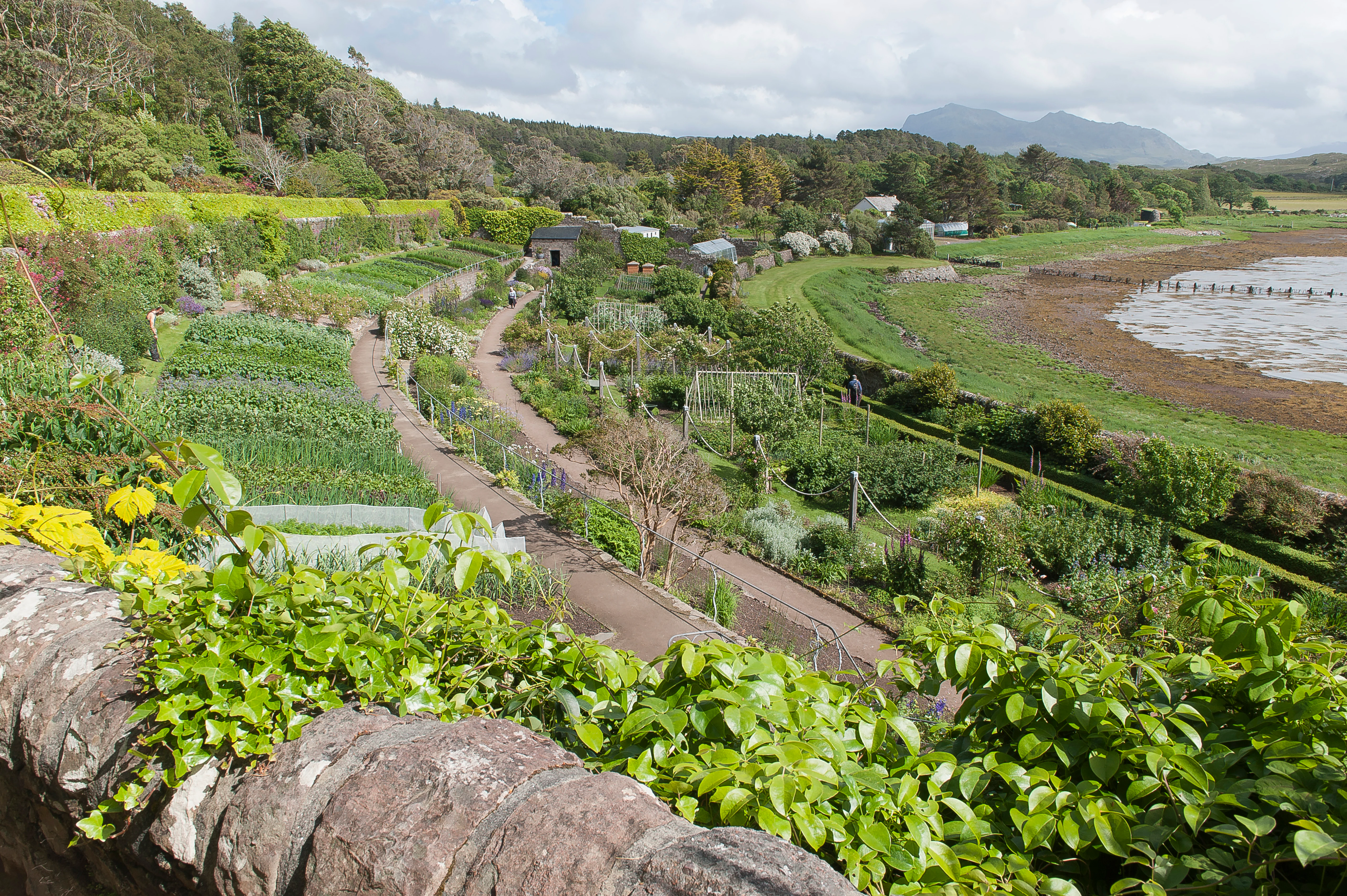 A high-angle view of a garden with various planted beds and pathways sloping toward a coastal shoreline with mudflats, framed by a stone wall covered in greenery in the foreground.