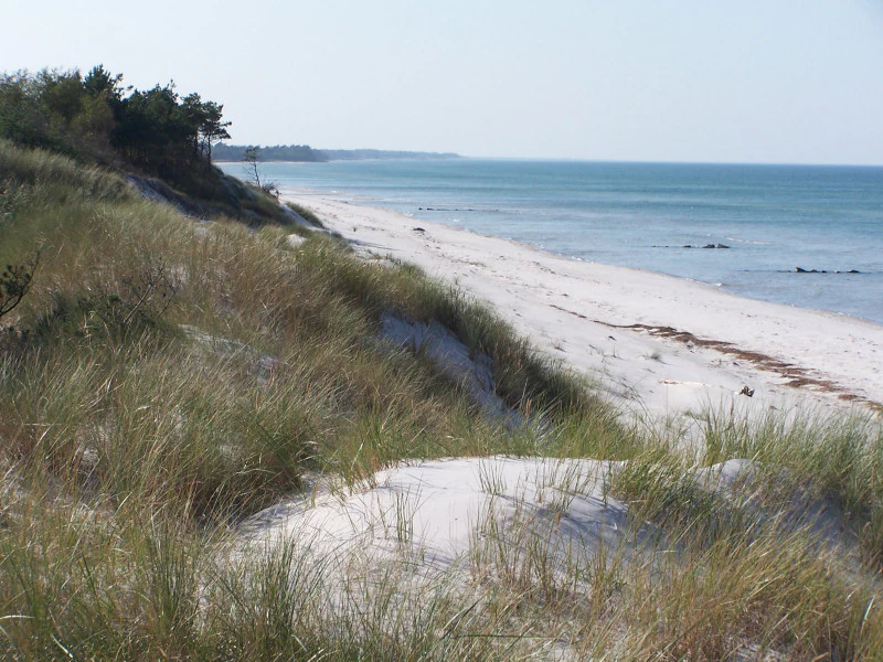 Coastal landscape featuring sandy beach, grassy dunes, and the Baltic Sea under a clear sky