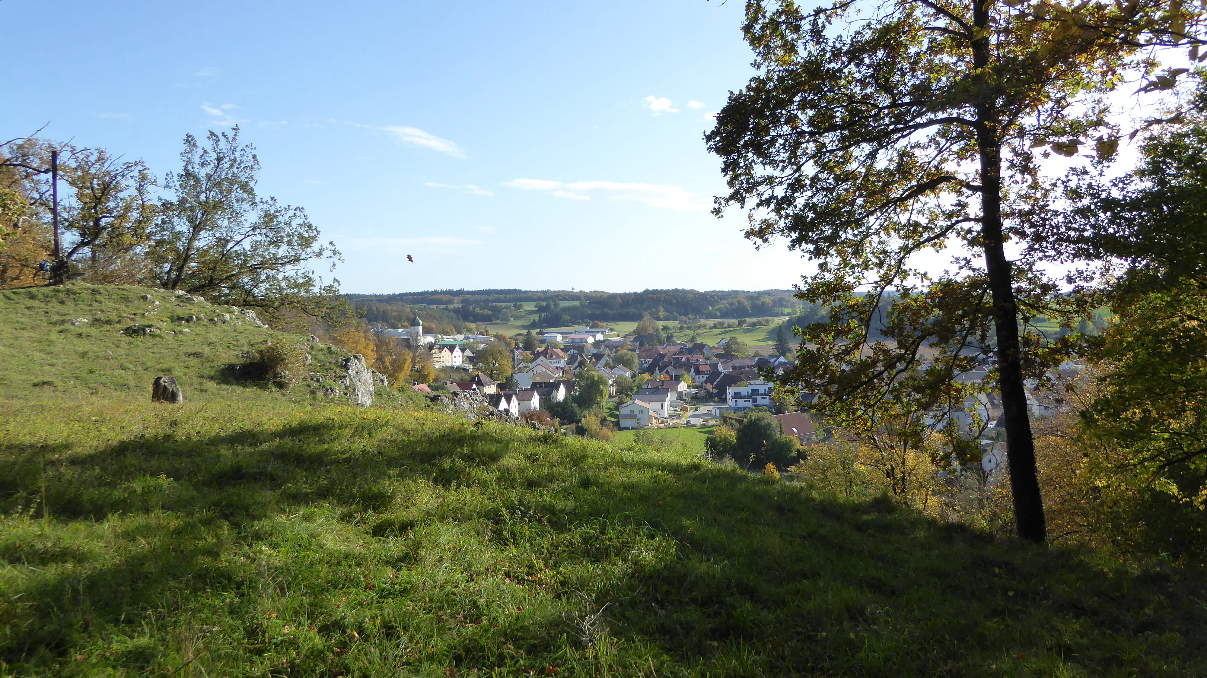 A view looking down from a grassy hillside onto a small German village nestled in a valley, with trees in the foreground and a forested horizon.