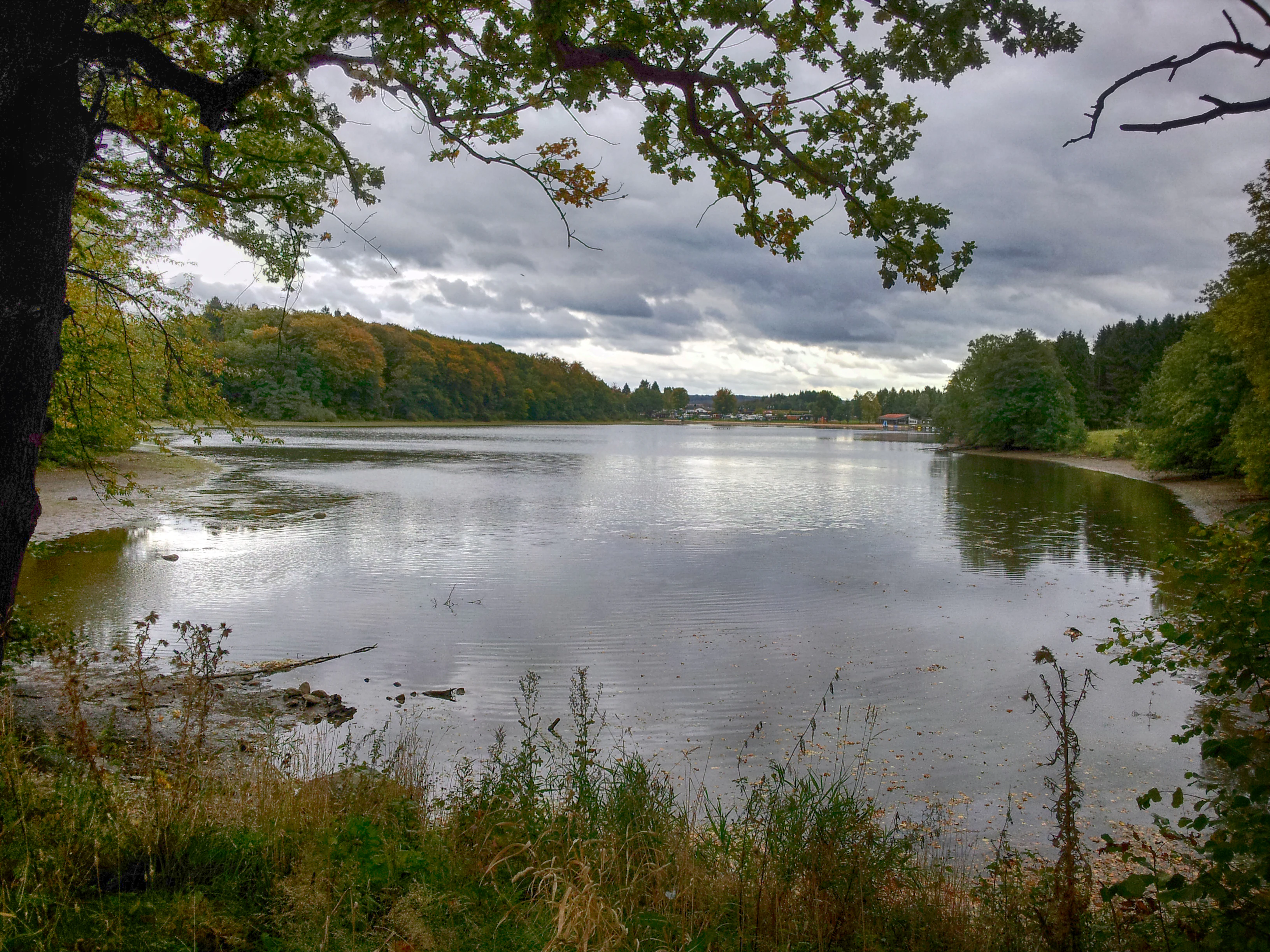 A wide view of a calm lake surrounded by trees under a cloudy sky, framed by branches in the foreground.