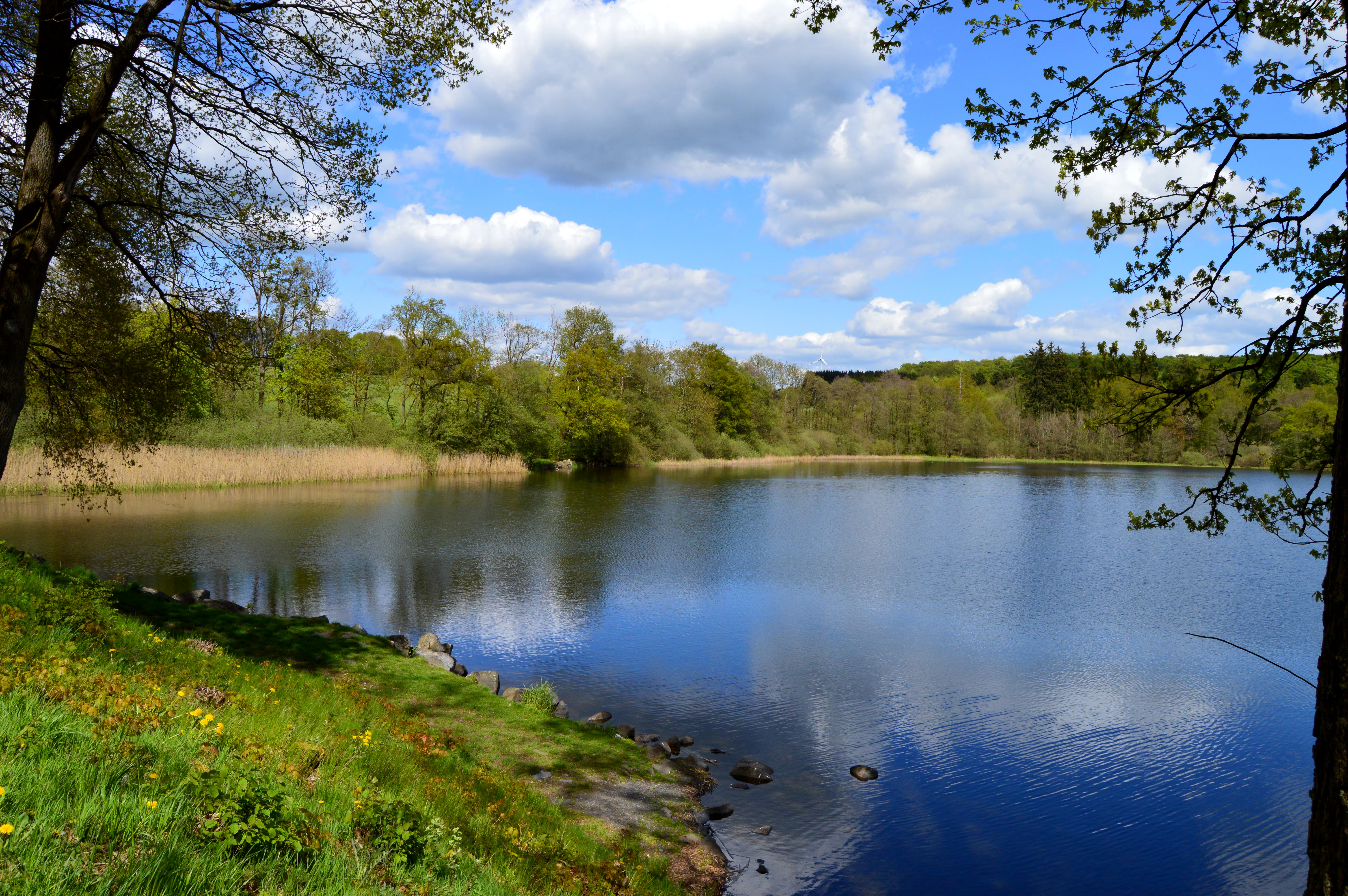 A wide view of a calm lake on a bright spring day with green grassy banks, trees in the foreground, and a blue sky with fluffy white clouds reflected in the water.