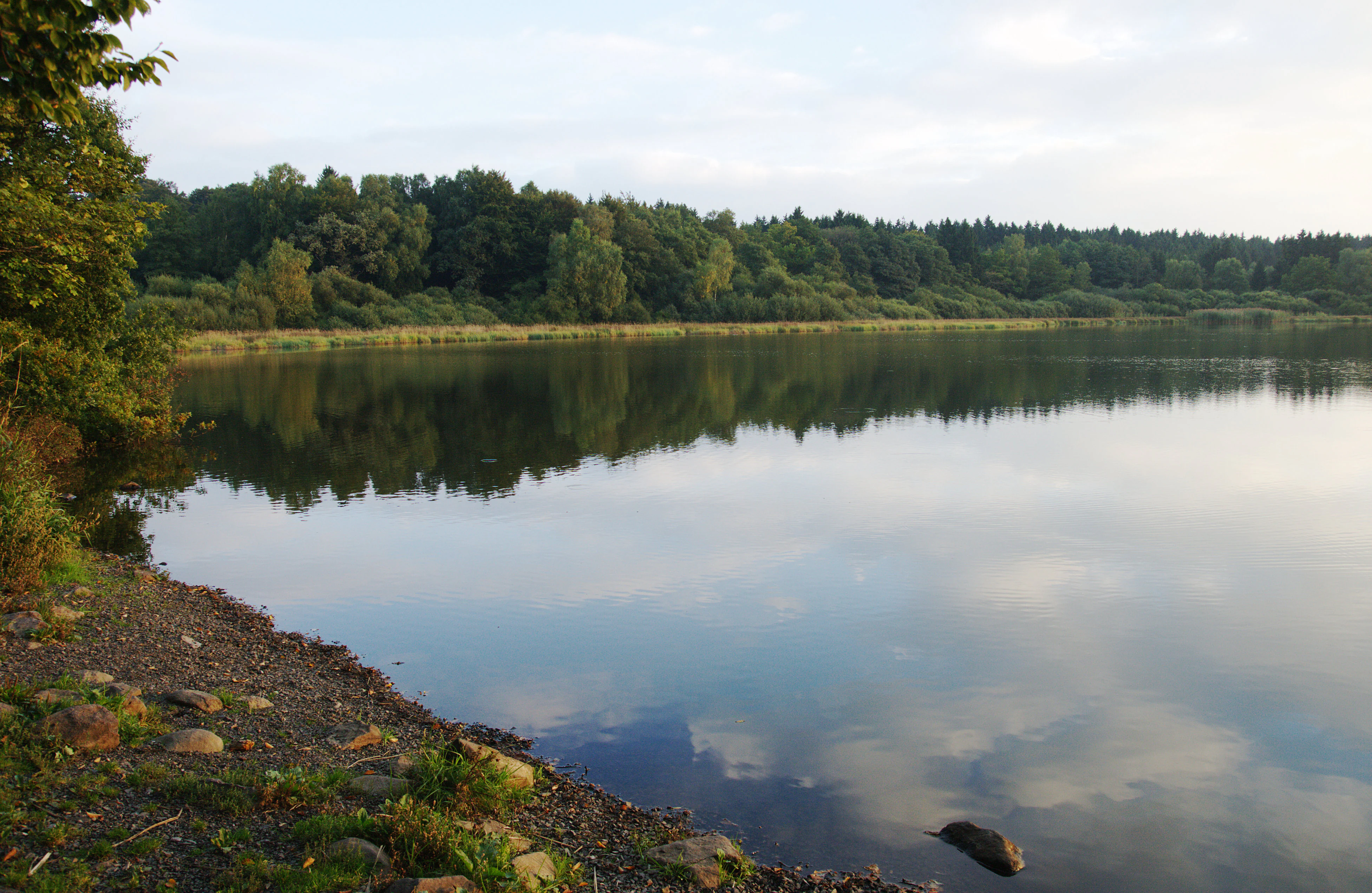 A calm, reflective lake with a forested shoreline in the background and a rocky, grassy bank in the foreground under a cloudy sky.