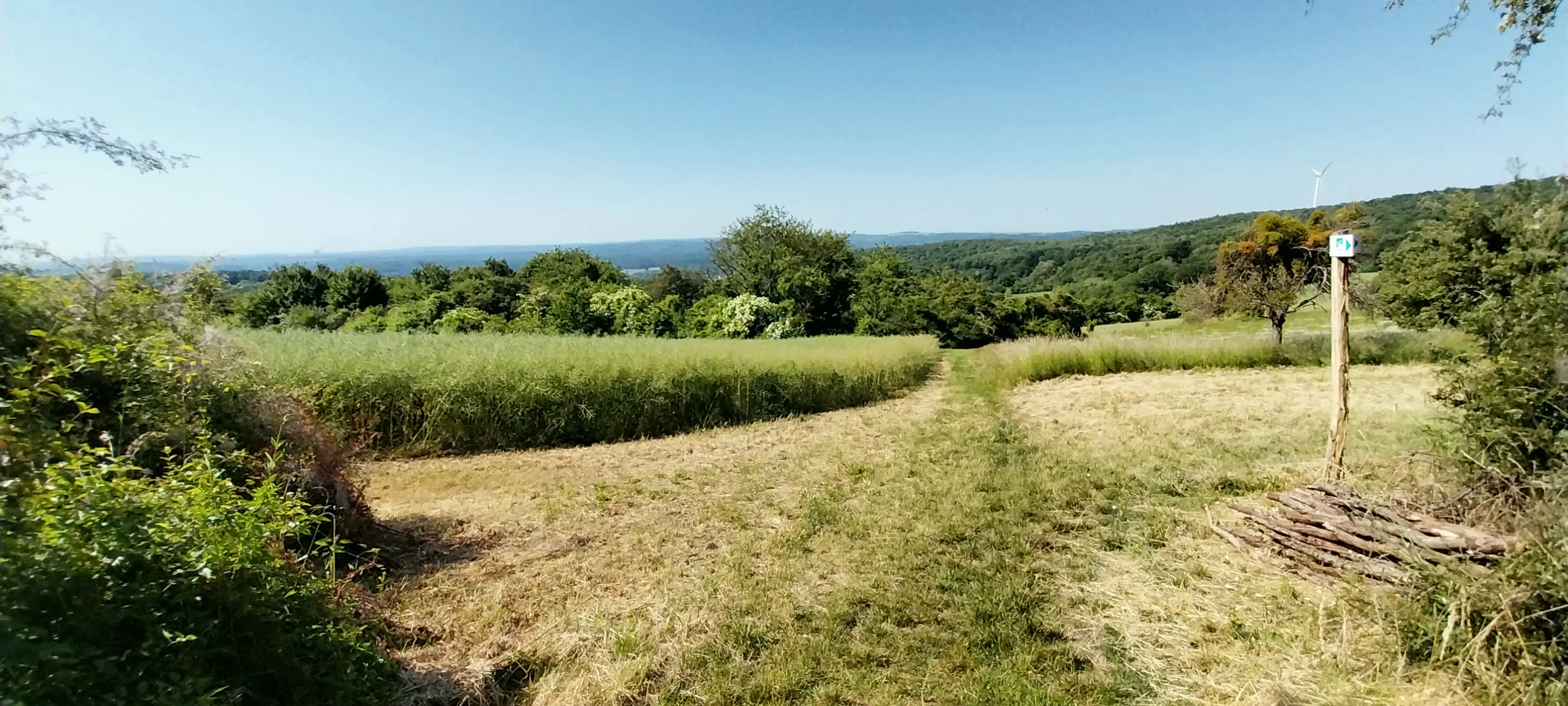 A sunny landscape view featuring a dirt path winding through golden grasses and green fields toward a distant forest line under a clear blue sky, with a simple wooden trail marker on the right.
