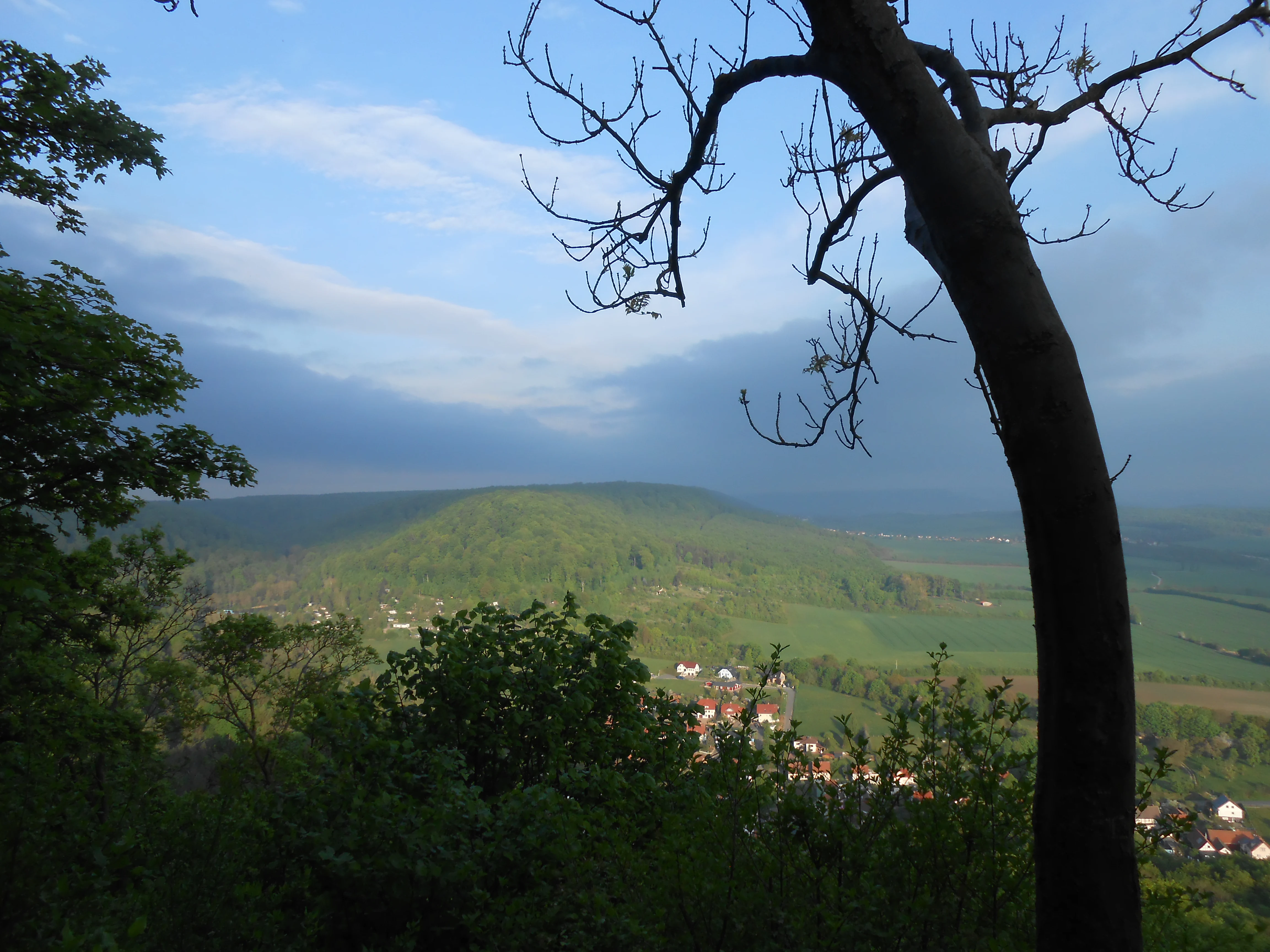 A wide view looking over a green forested valley and rolling hills in Germany, framed by tree branches in the foreground.
