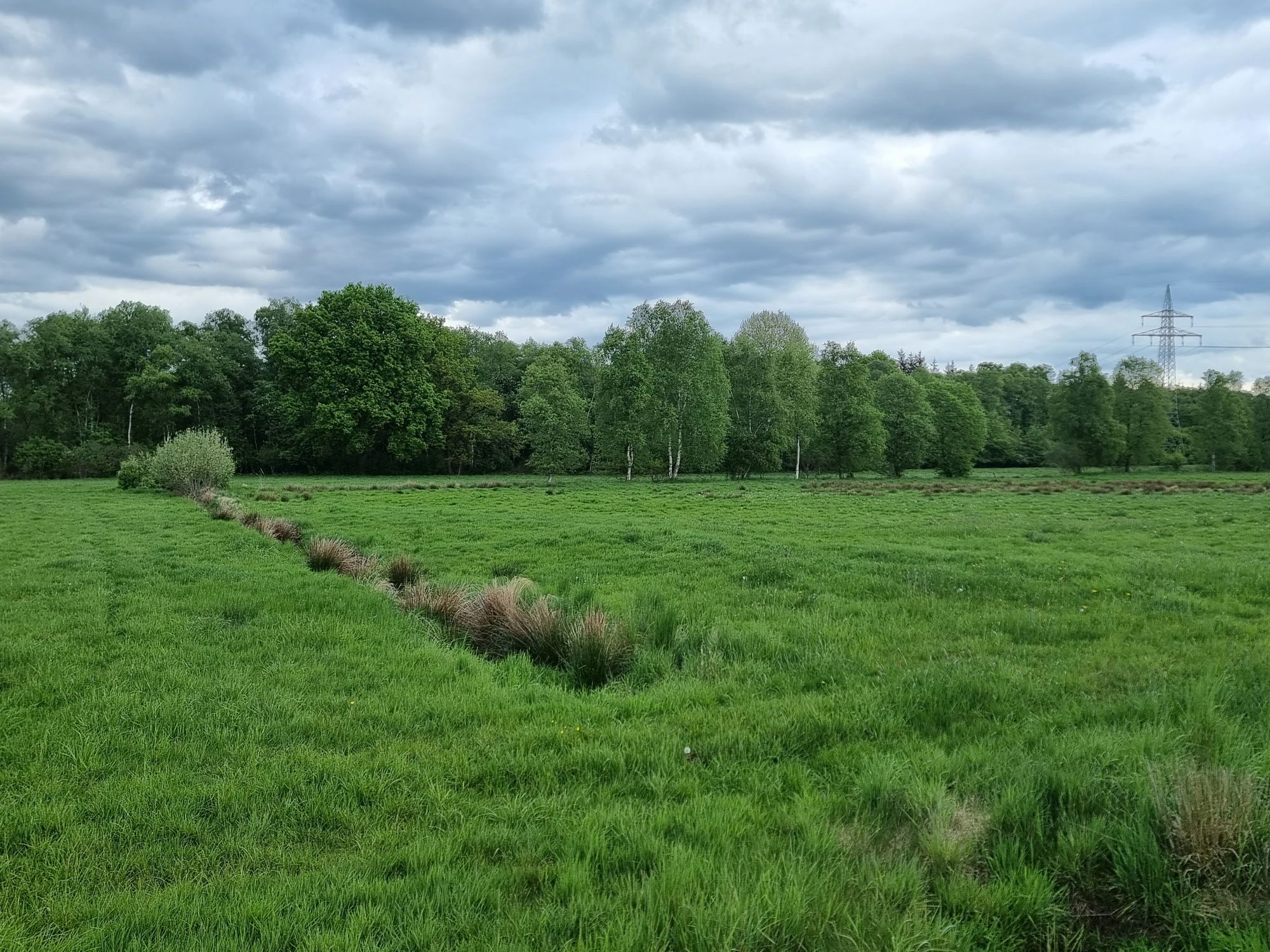 A green, grassy meadow stretches towards a tree line, with a narrow drainage ditch in the foreground and a power line pylon visible on the right against an overcast sky.