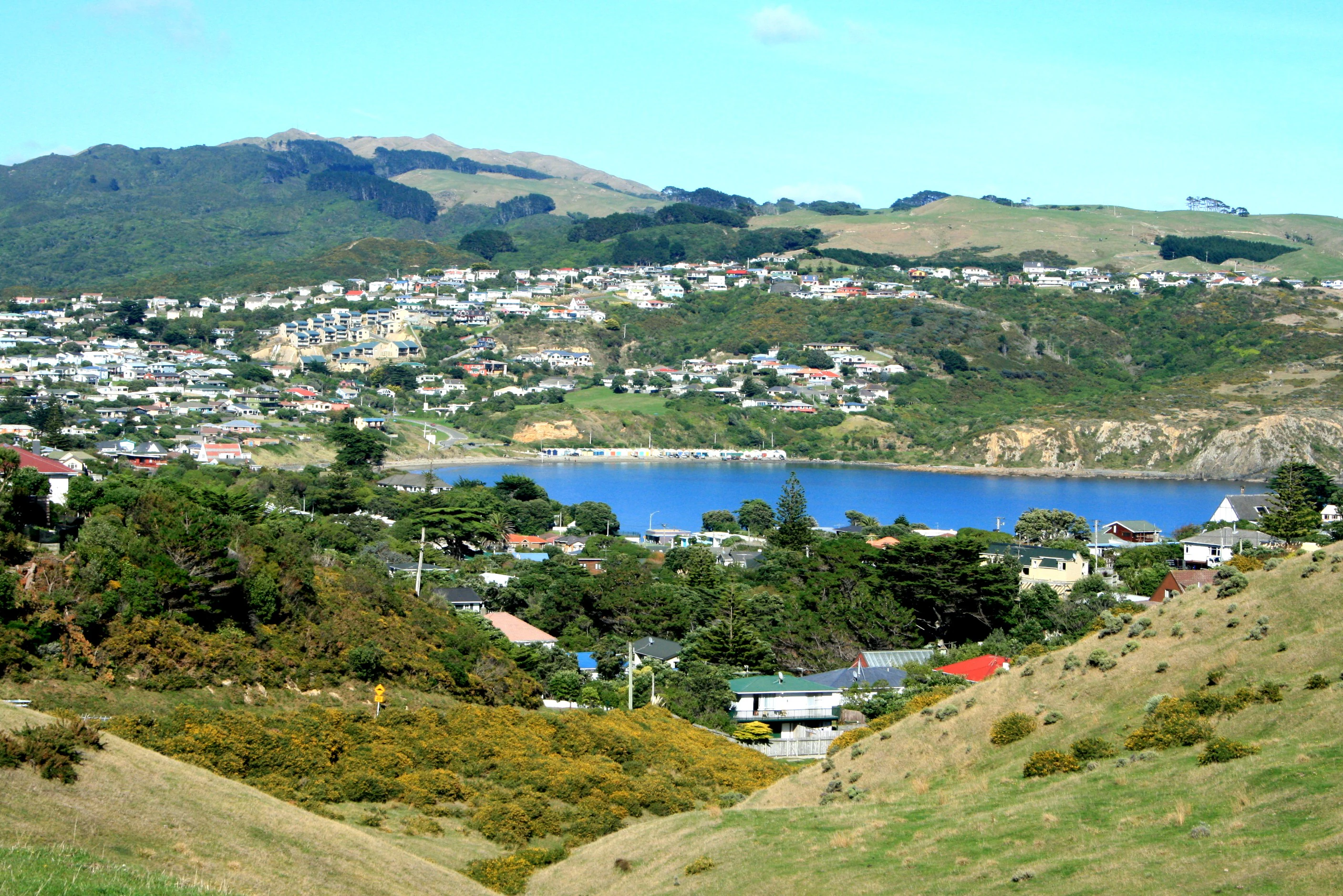 A wide landscape view from a grassy hill overlooking a blue bay, a coastal town with houses, and rolling green hills in the distance.