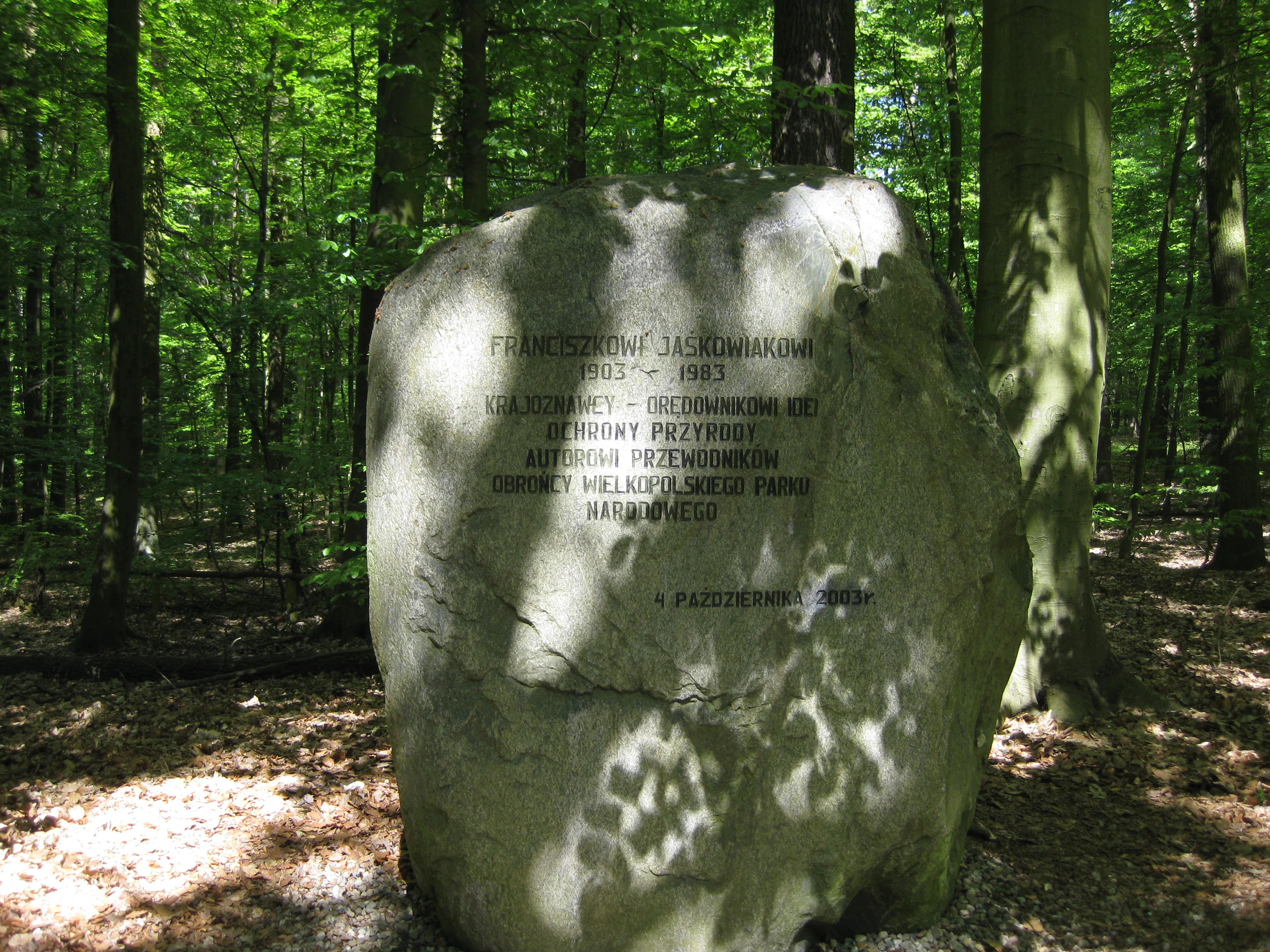 Large engraved boulder in a forested area with dappled sunlight filtering through trees