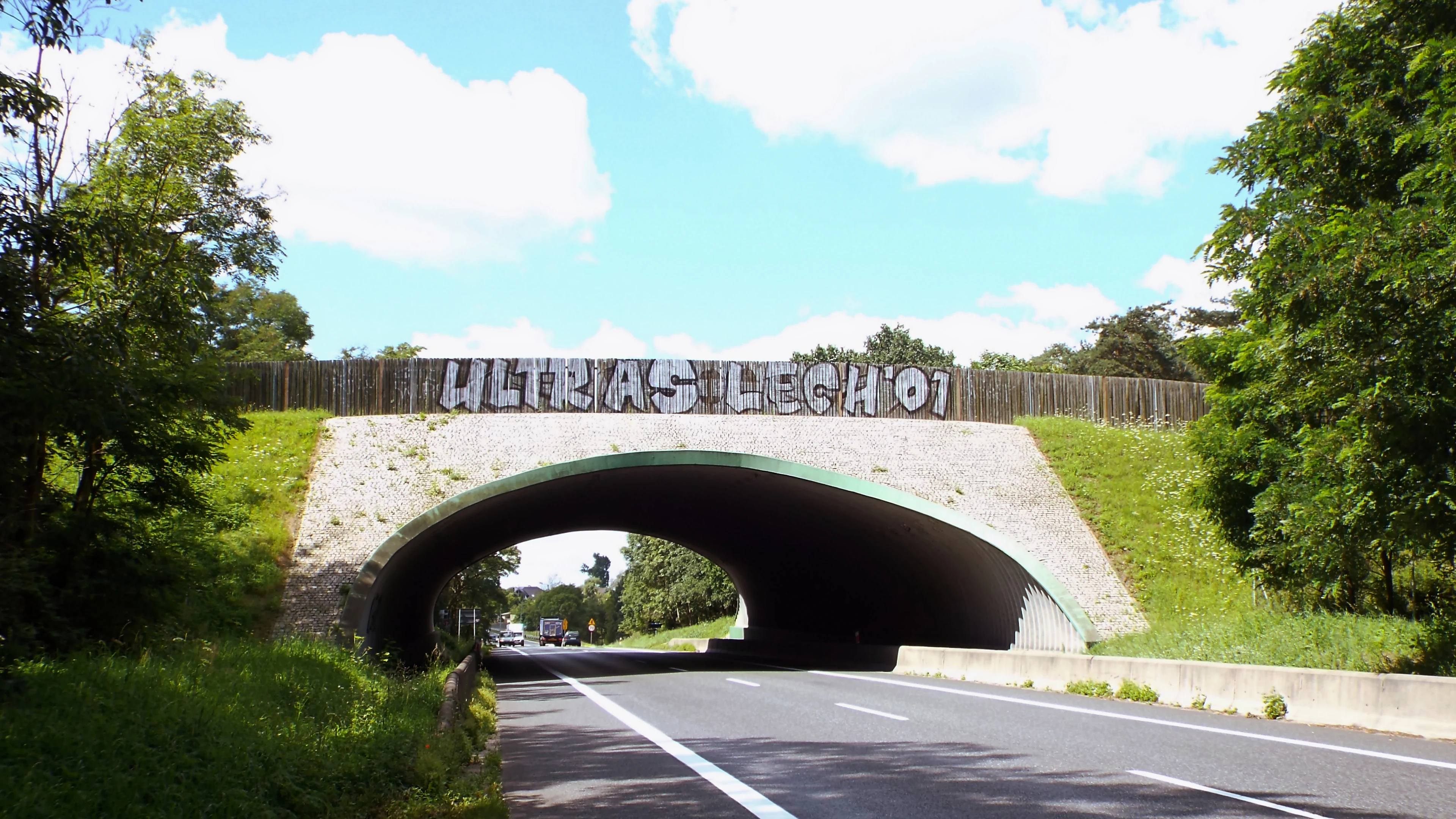 Wildlife crossing in Debienko