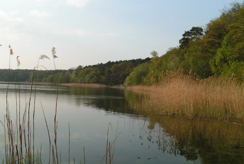 Goreckie Lake