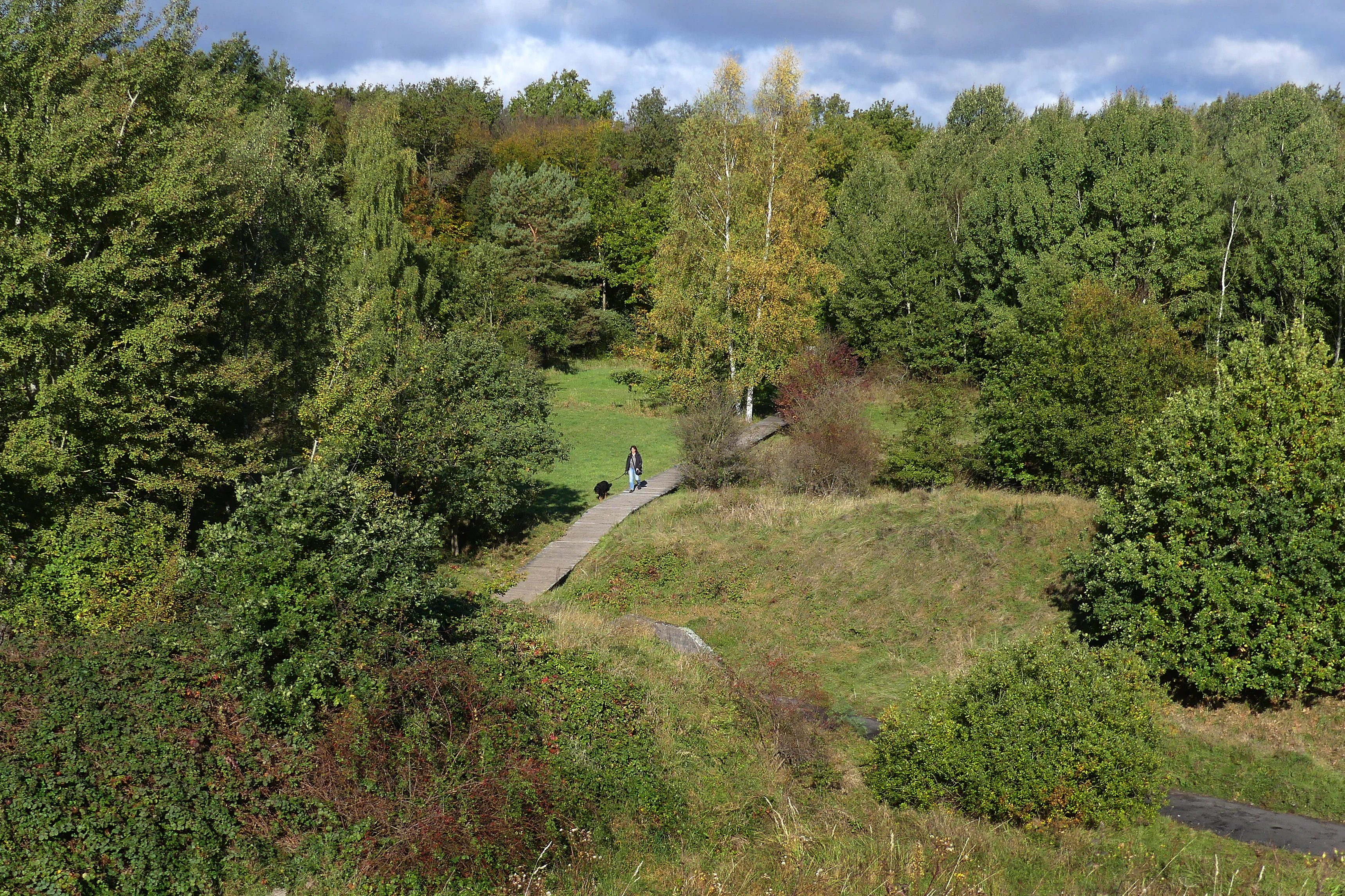 A high-angle view of a wooded area in the Ober-Olmer Wald, featuring a paved trail winding through green meadows, shrubs, and deciduous trees under a cloudy sky.