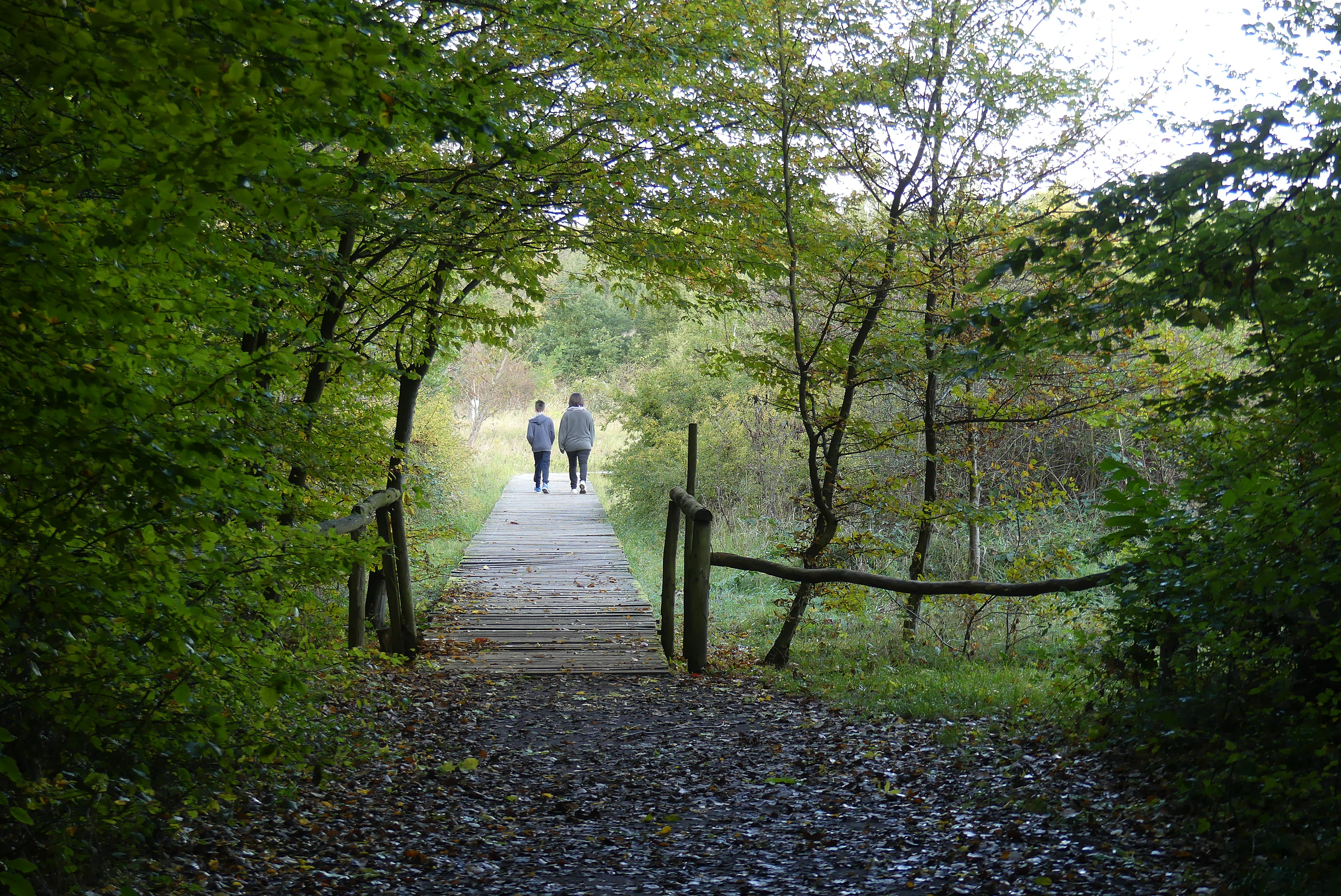 A dirt path leads to a wooden bridge, where two people are walking away from the camera, exiting a dense forest into an open meadow area.