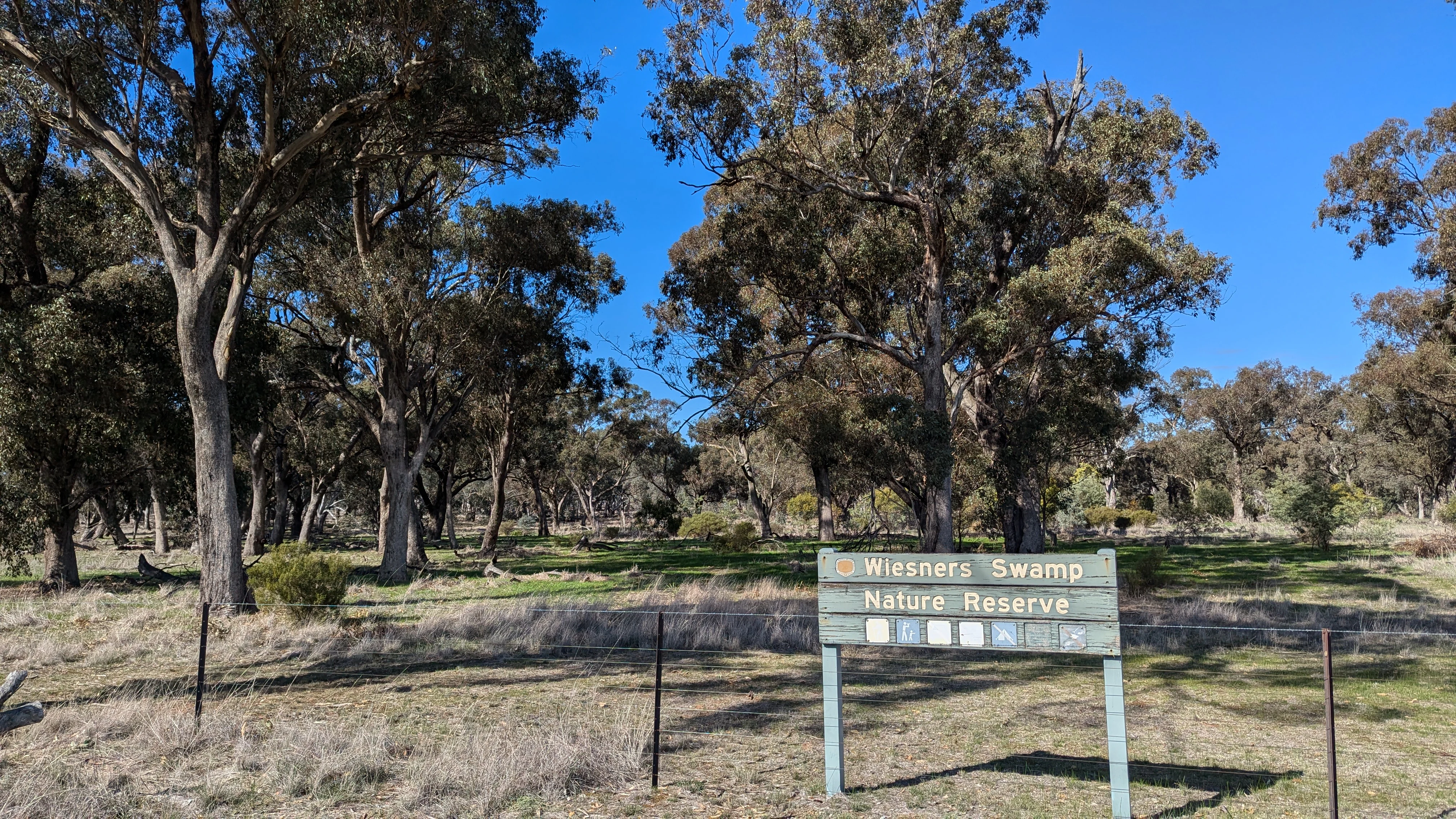 A wooden entrance sign for Wiesners Swamp Nature Reserve stands in front of a grassy woodland area with mature eucalyptus trees under a clear blue sky.