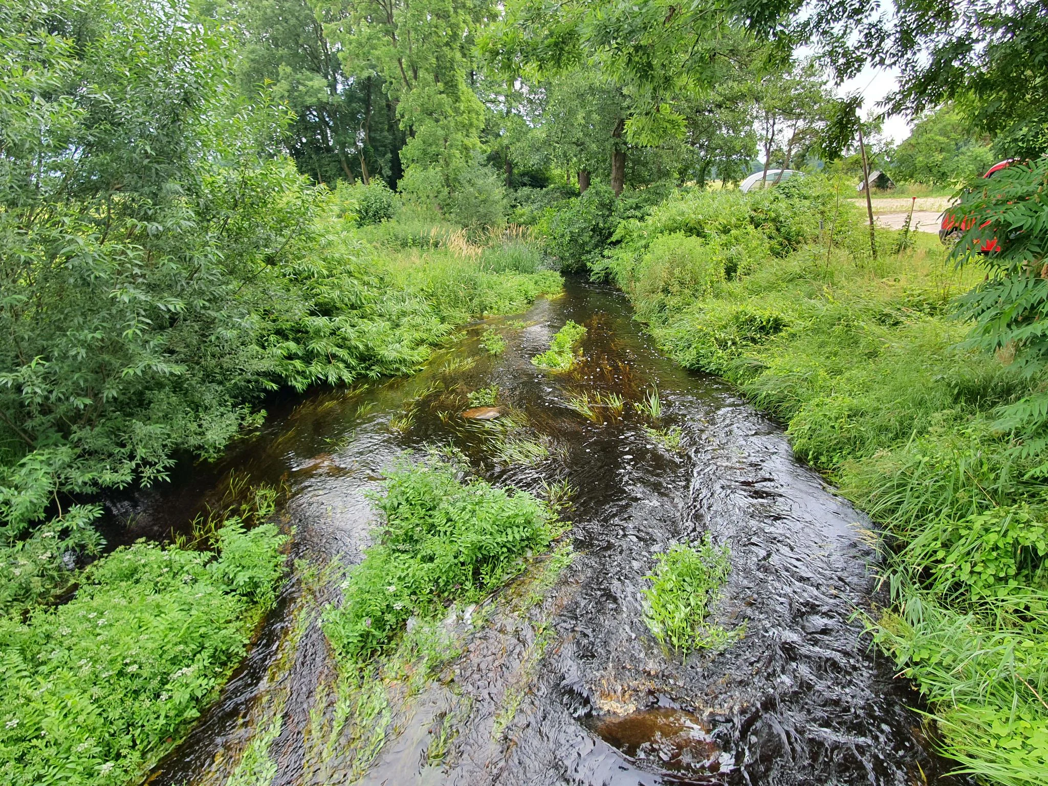 Wieste River