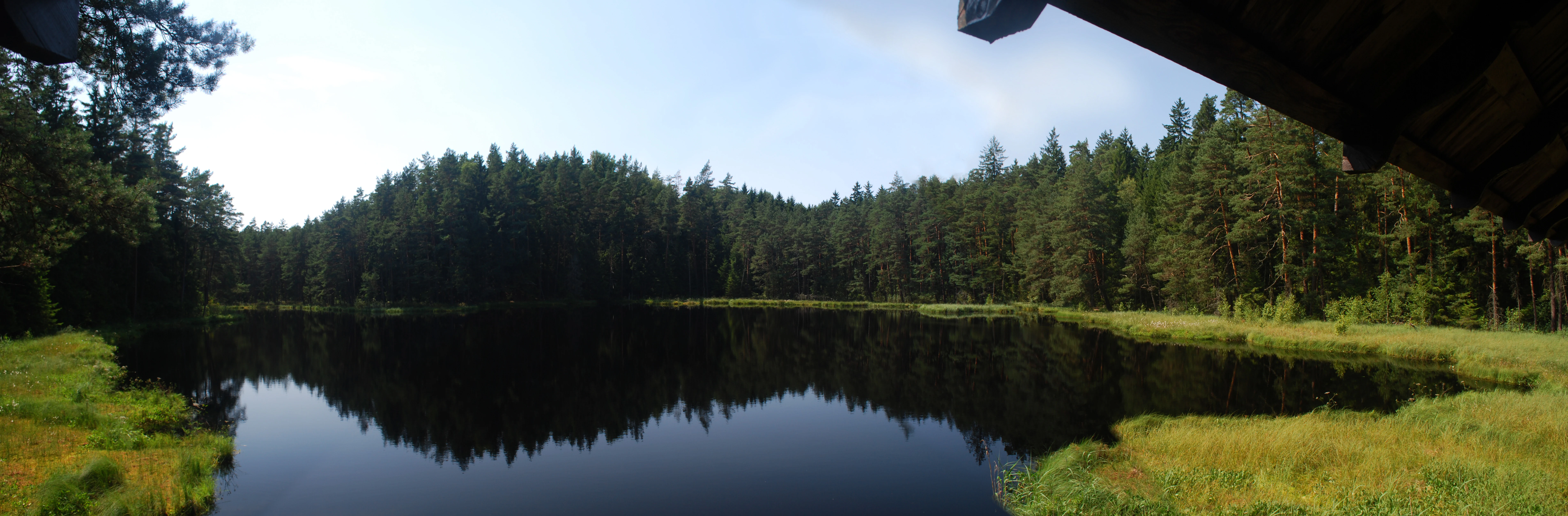 A wide panoramic photograph of a dark, still forest lake surrounded by dense evergreen trees and grassy marshland, viewed from beneath a wooden structure.