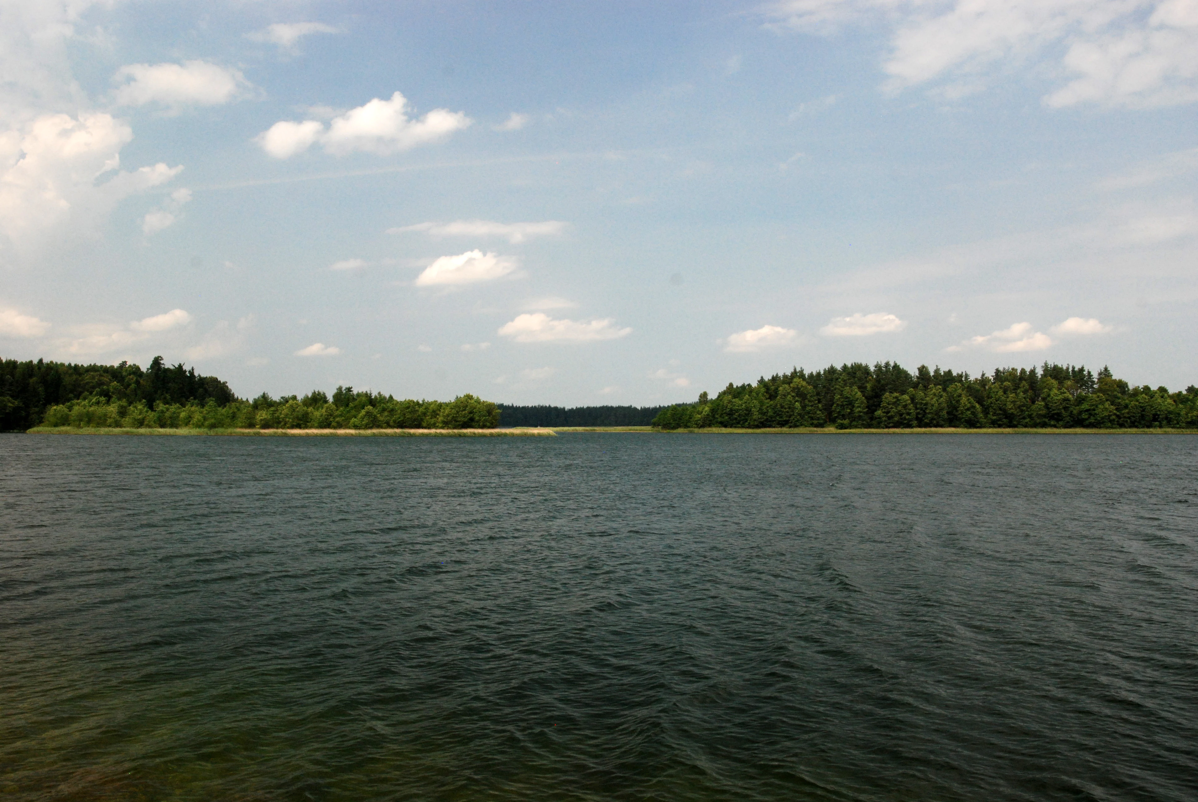 A wide view across the calm, dark water of Lake Wigry, with tree-lined shores in the distance under a blue sky with scattered clouds.