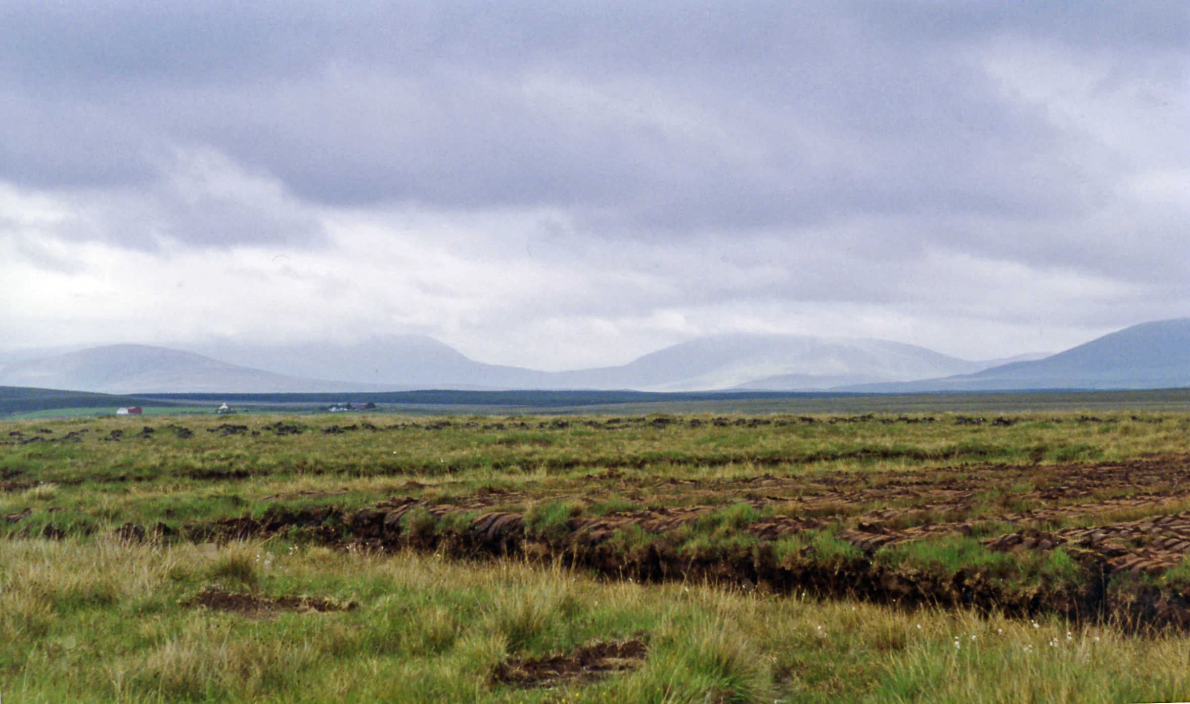 Grassy and boggy landscape with distant mountains under cloudy sky