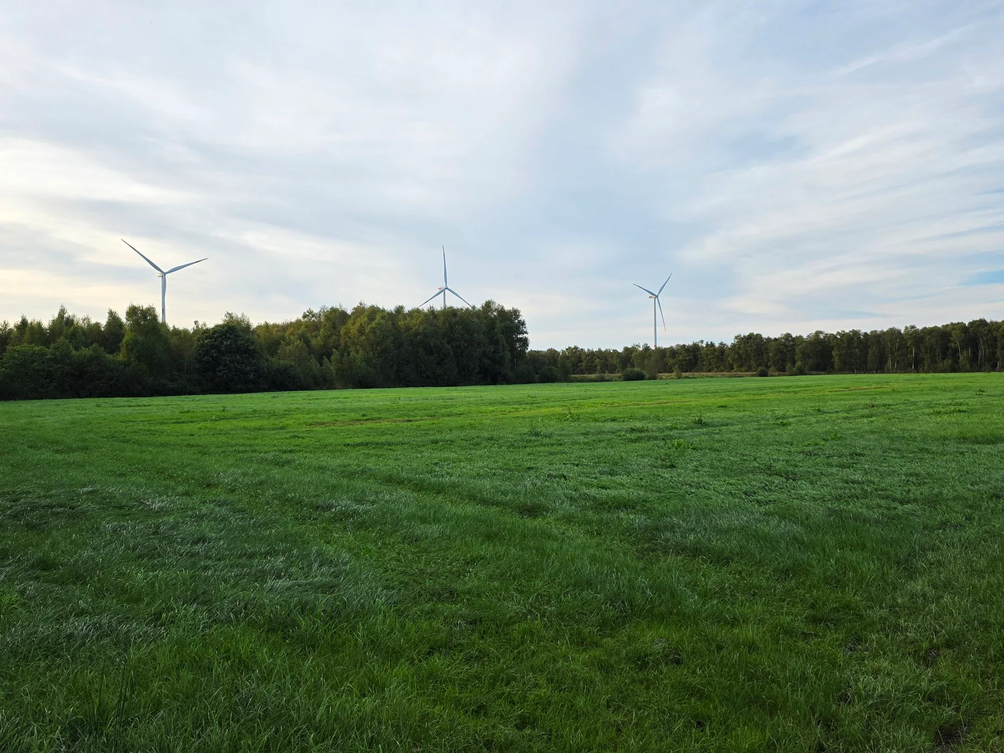 A wide shot of a green grassy field under a cloudy sky, with a line of trees and three wind turbines in the background.