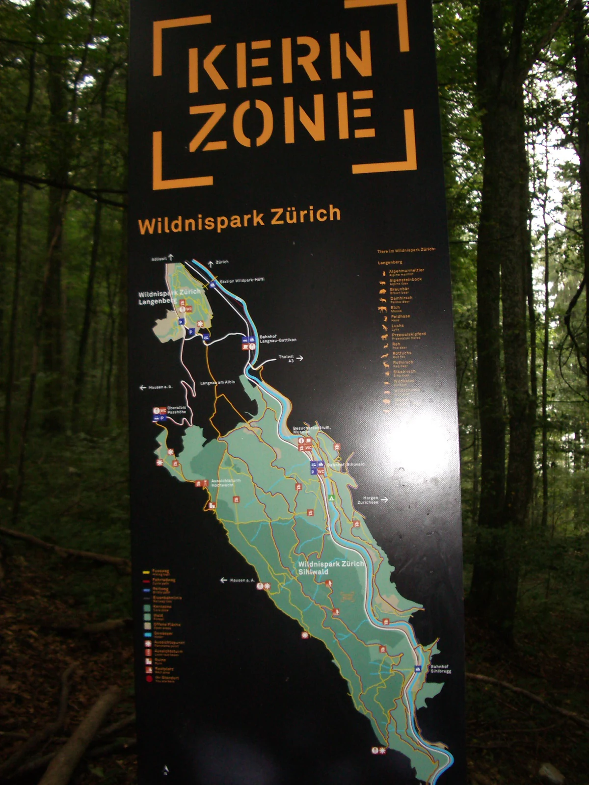 A vertical information sign situated in a forest, displaying a detailed color-coded map of the Wildnispark Zürich with the words KERN ZONE at the top.