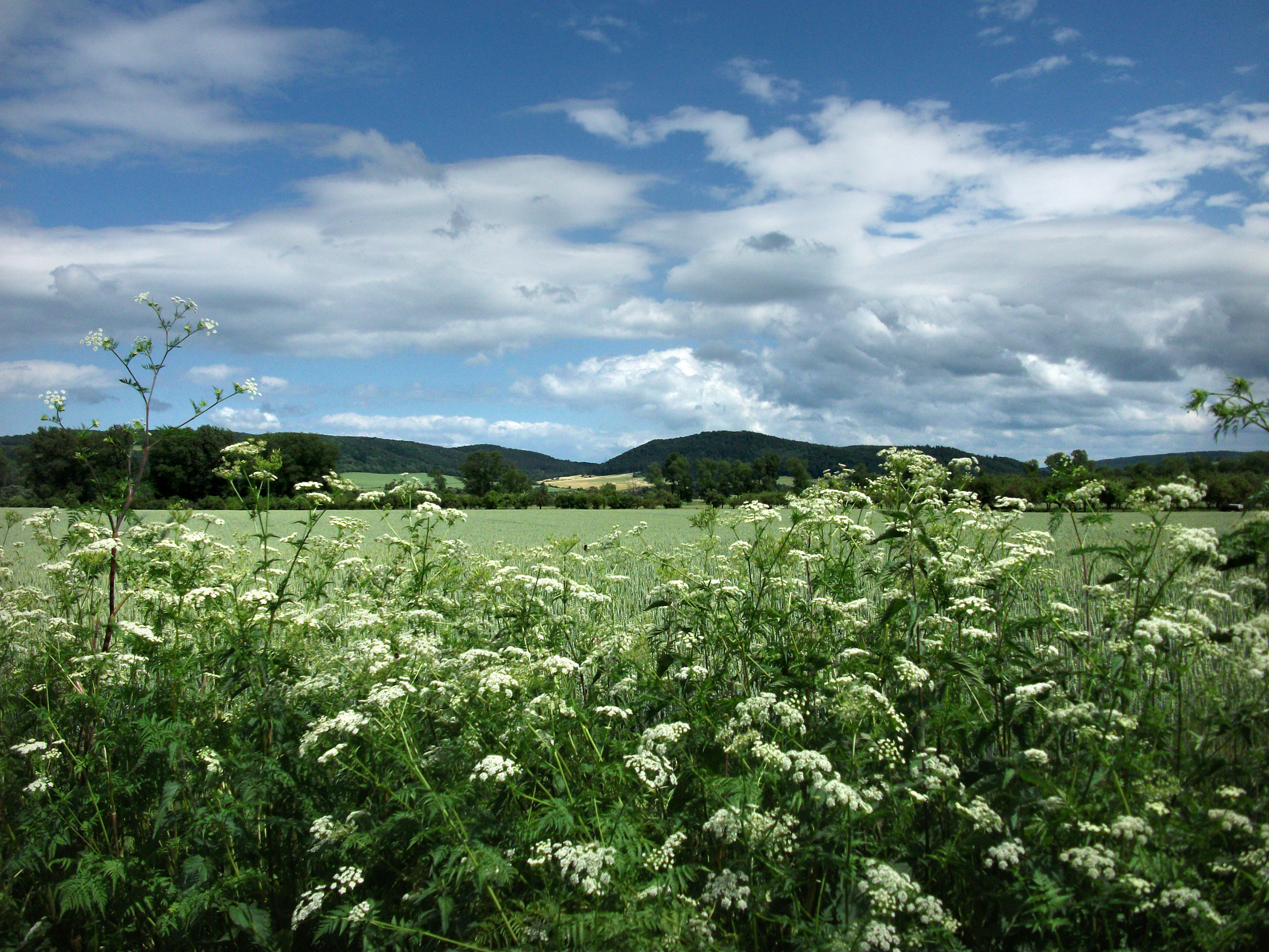 Werra floodplain near Wilhelmsglucksbrunn