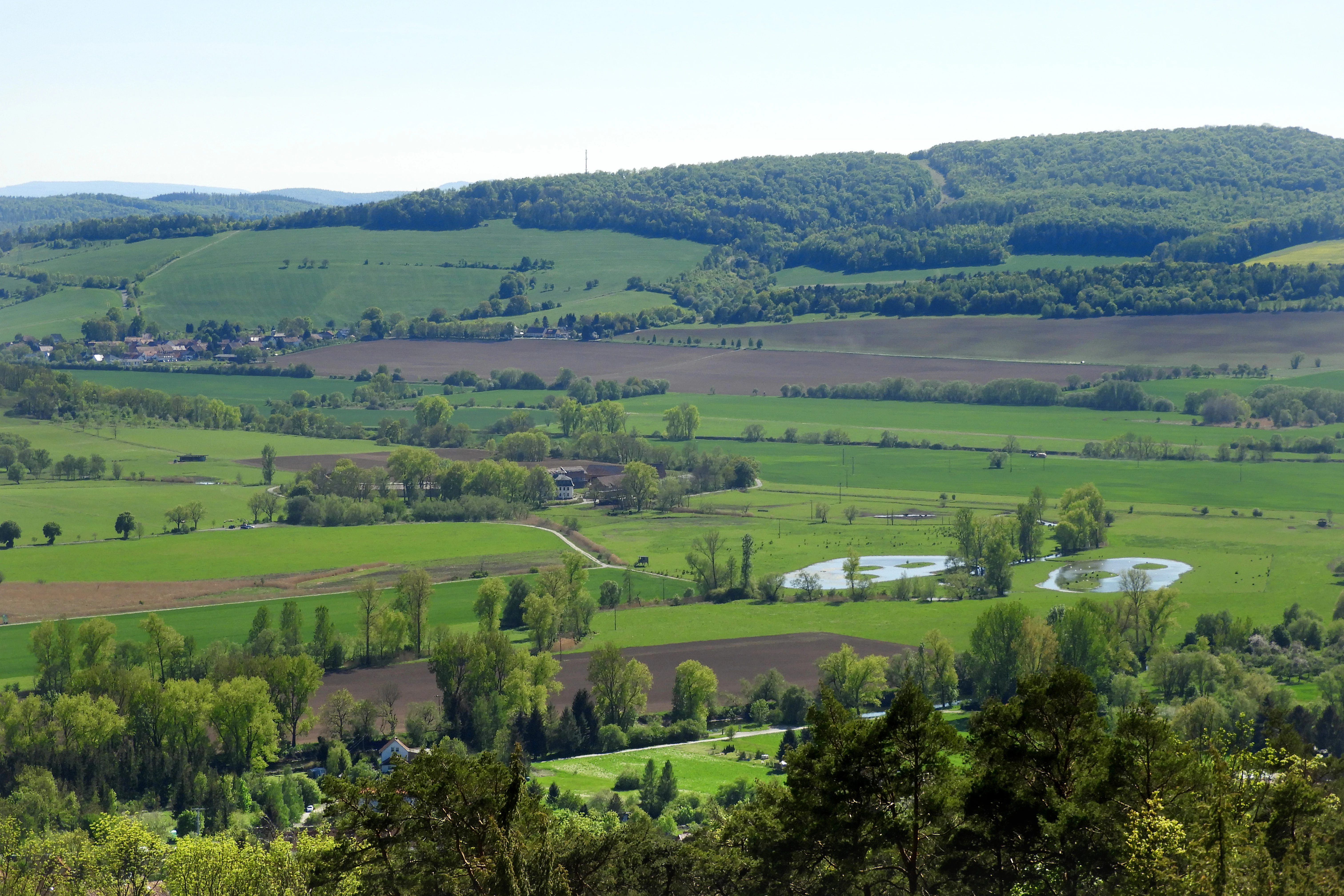 Werra floodplain at Wilhelmsglücksbrunn