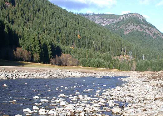 A wide view of a river with a rocky bed flowing through a forested valley with mountains in the background.