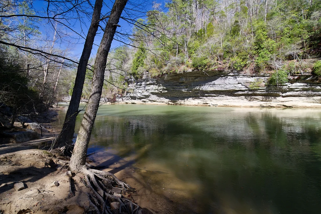 A peaceful, wide river flows past a sandy bank with exposed tree roots and a steep, layered sandstone cliff covered in trees in the background.