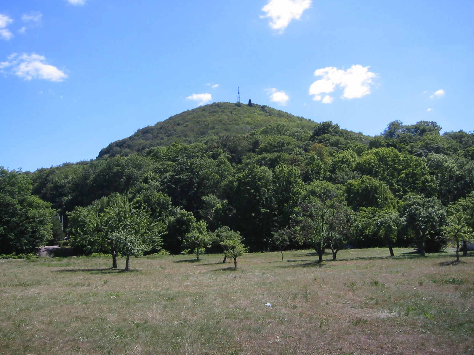 A gentle, tree-covered hill rises above a grassy field under a bright blue sky with scattered clouds.