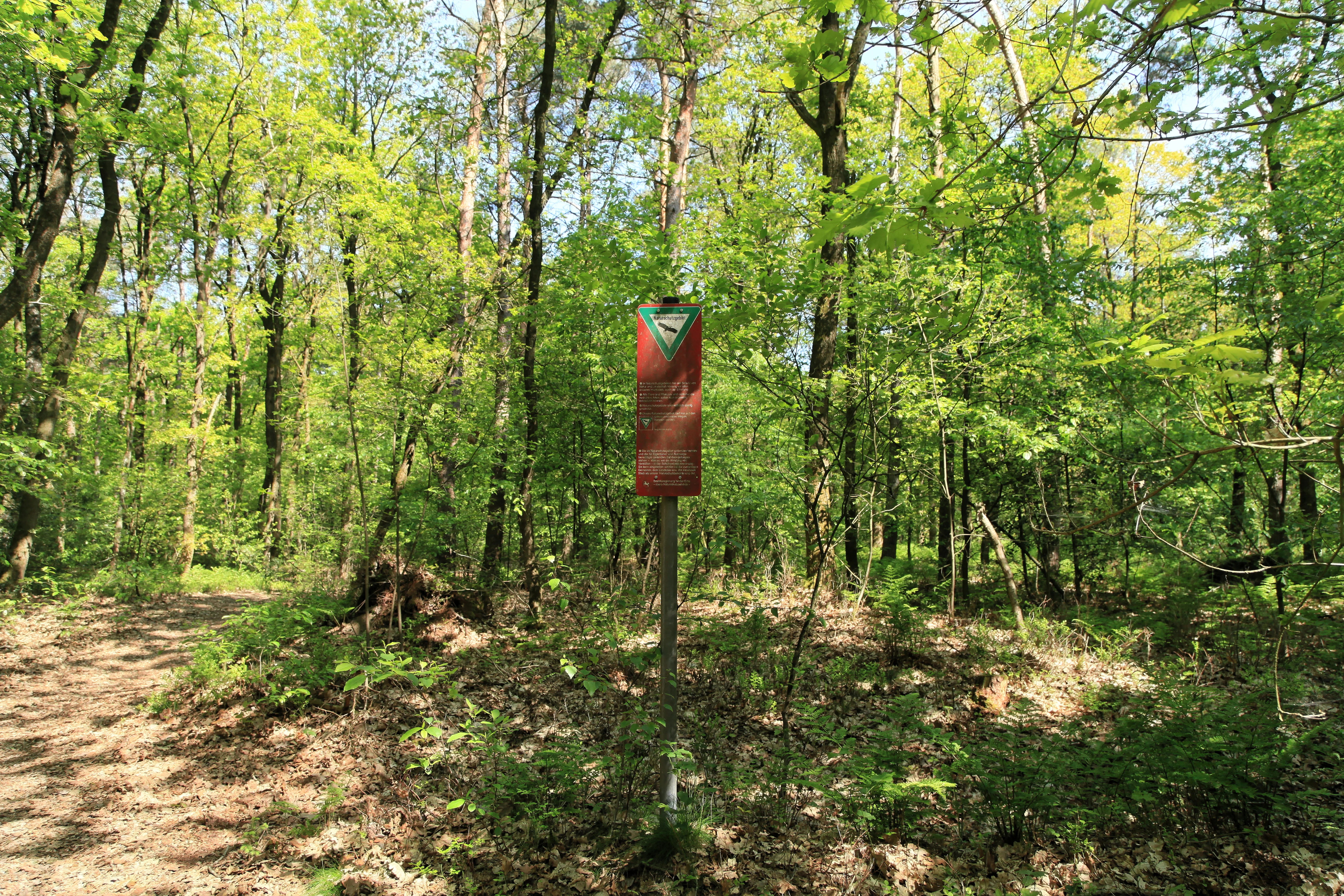 Wacholderhain and Windelberg Nature Reserve