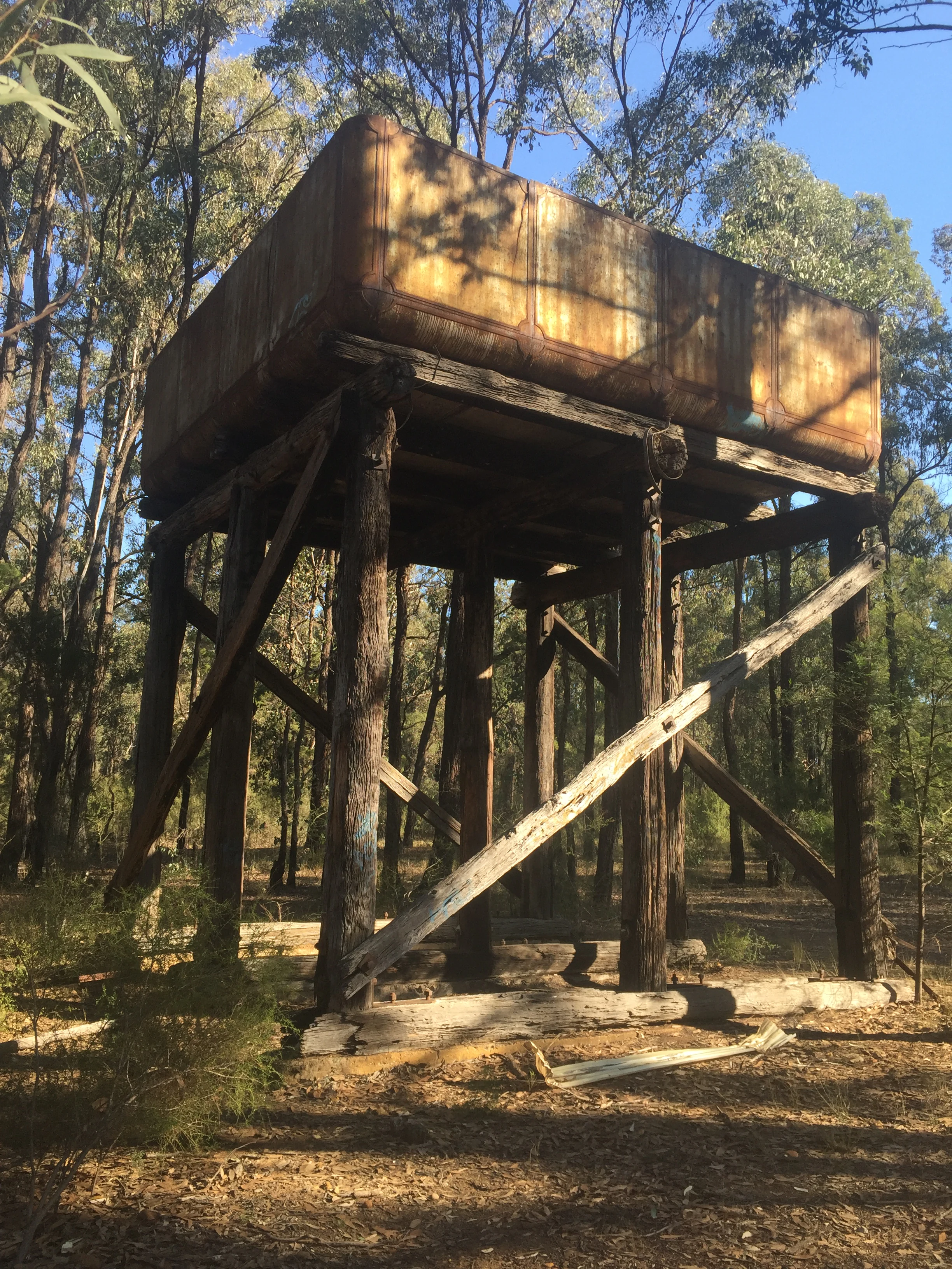 A weathered, metal water tank sits on a tall, wooden frame structure within a wooded area with trees surrounding it.