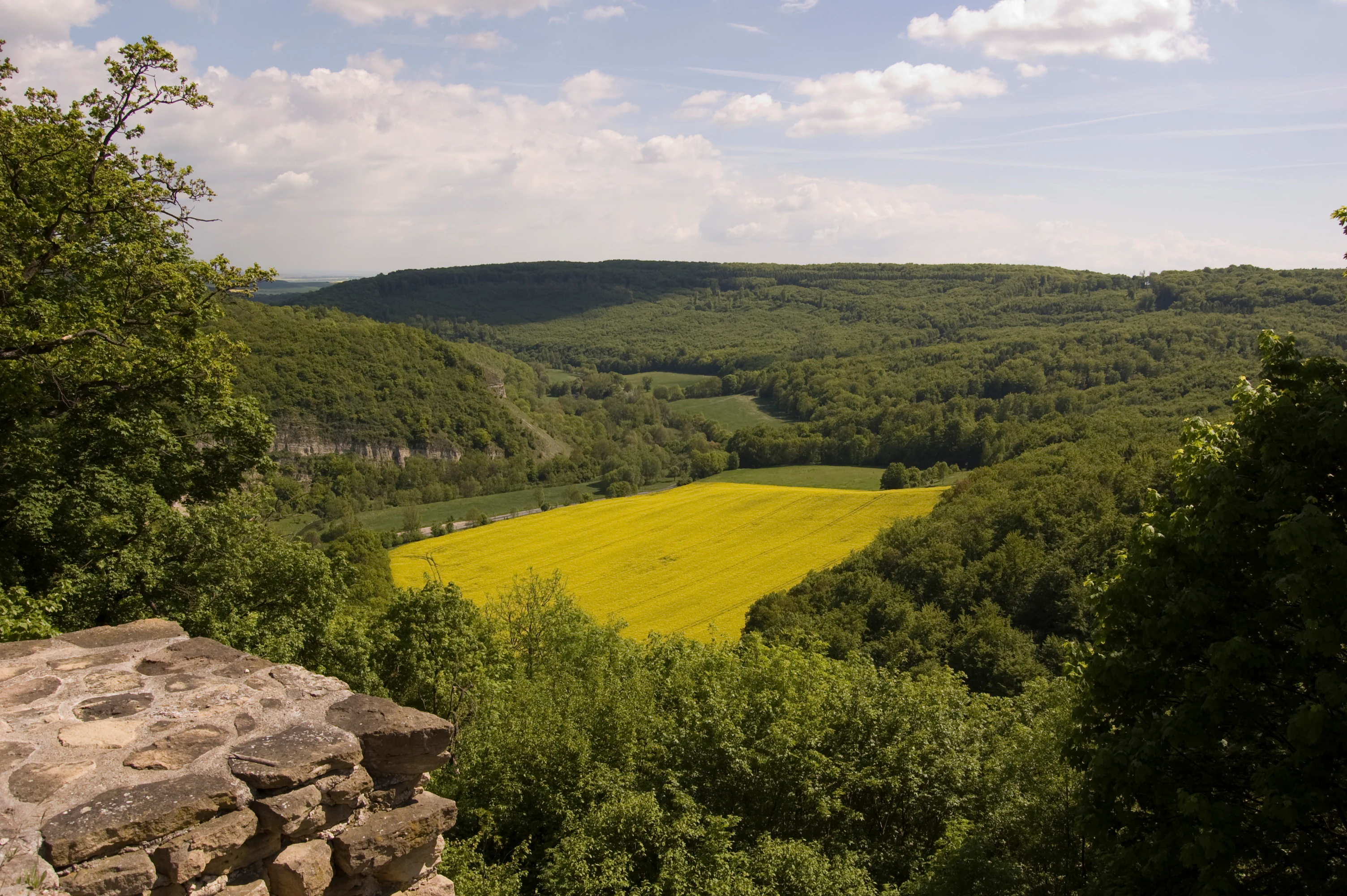 A wide view of a lush green valley with a bright yellow field in the center, framed by trees in the foreground and a stone wall structure on the bottom left.