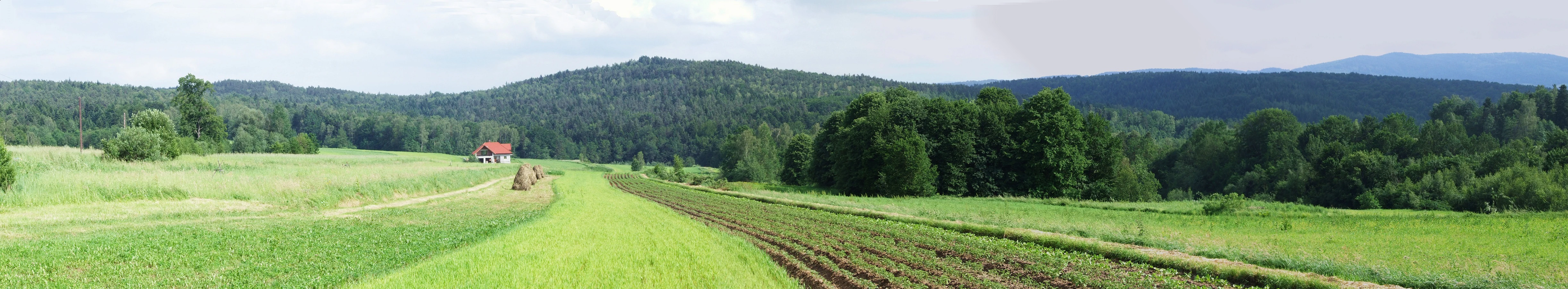 A wide panoramic photograph showing a rural landscape with mown fields in the foreground, patches of forest, and a rolling, tree-covered hillside in the distance under a bright sky.