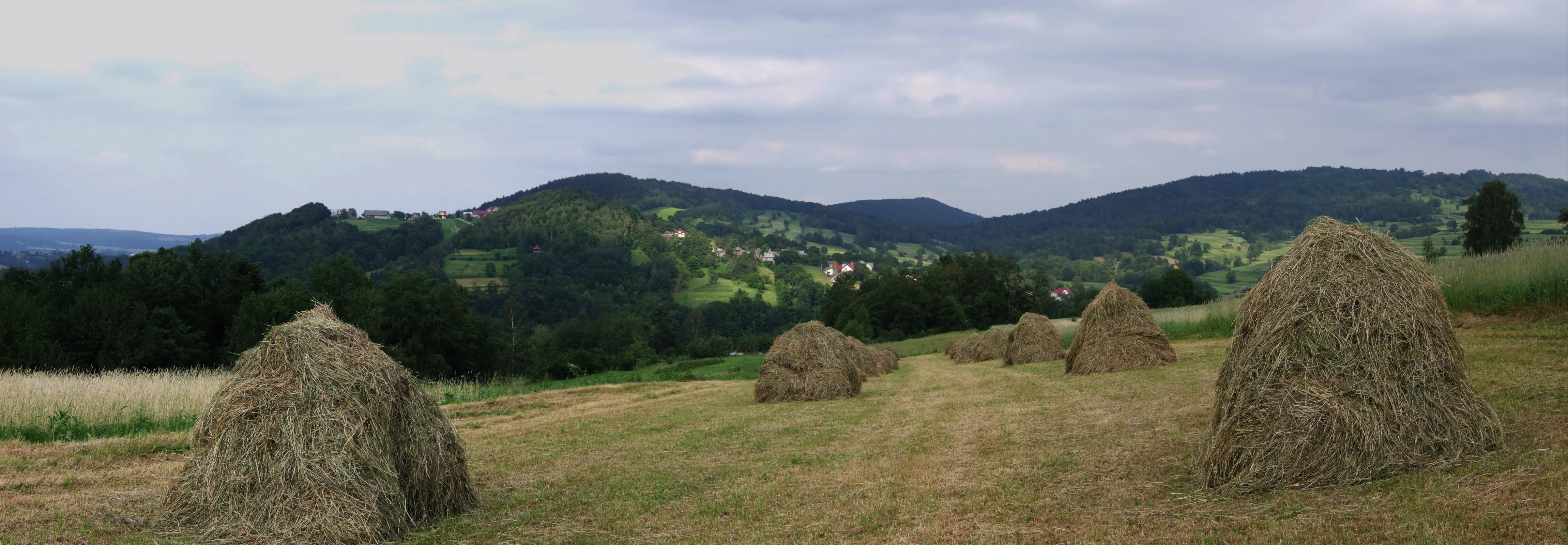 A wide view of a harvested field with several haystacks in the foreground and a rolling forested mountain range under a cloudy sky in the distance.