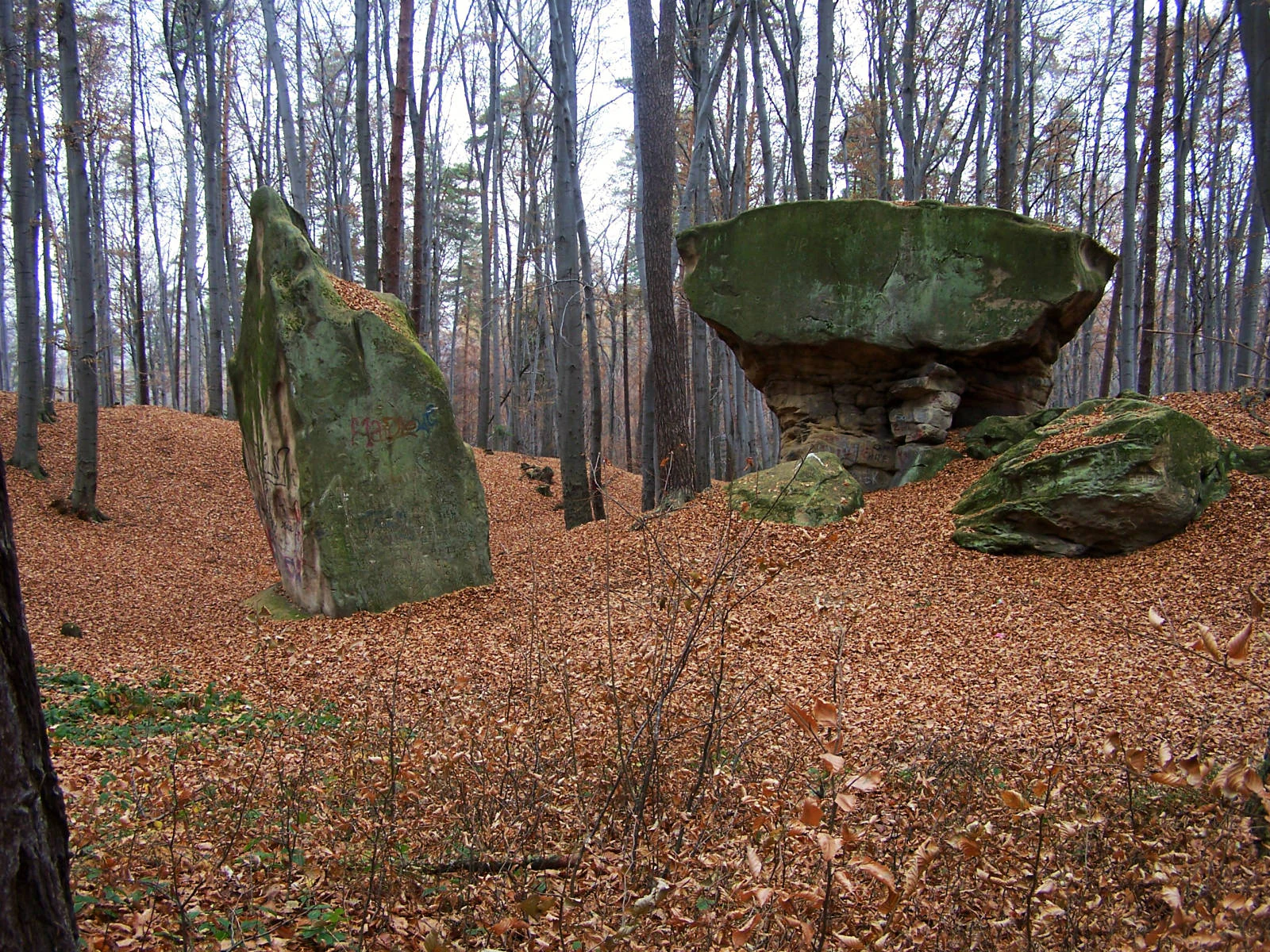 A large mushroom-shaped sandstone rock formation sits on a forest floor covered in fallen autumn leaves, with tall deciduous trees in the background.