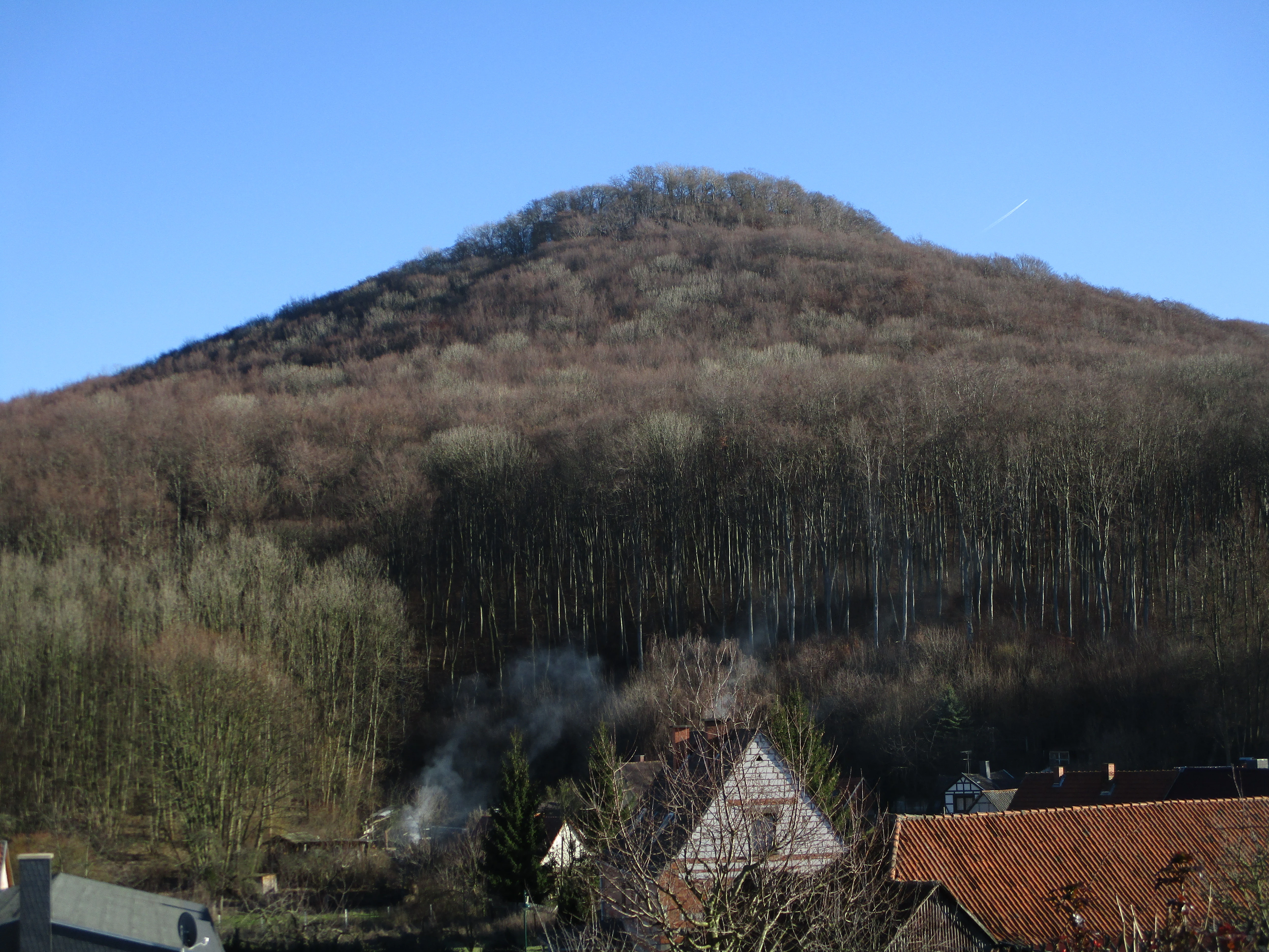A conical hill covered in dense, leafless forest stands behind a village with red-tiled rooftops, under a clear blue sky.