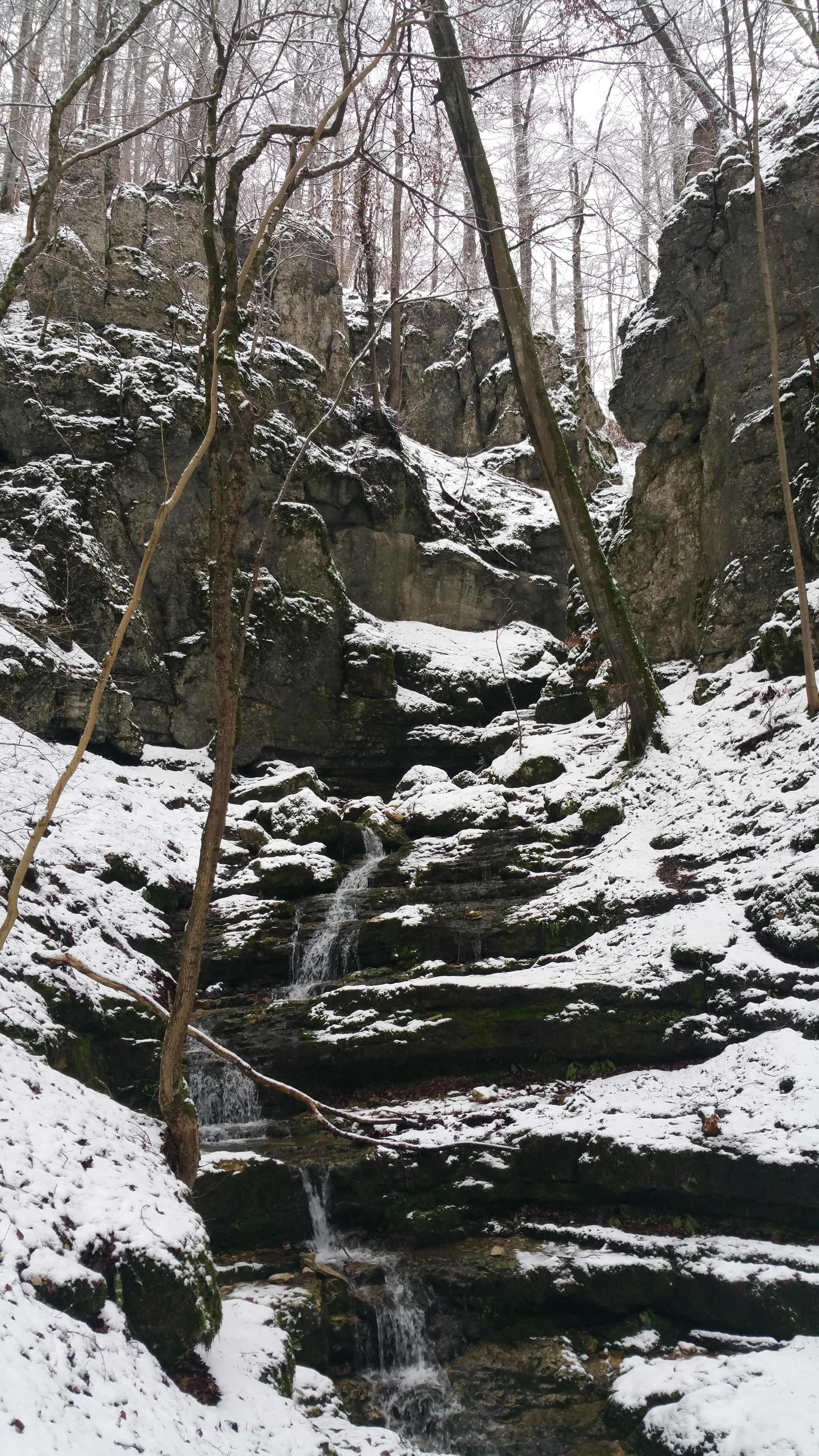 Un desfiladero estrecho y escarpado con paredes rocosas verticales cubiertas de nieve ligera, rodeado de árboles invernales desnudos y una pequeña cascada escalonada que fluye sobre rocas oscuras cubiertas de musgo en primer plano.