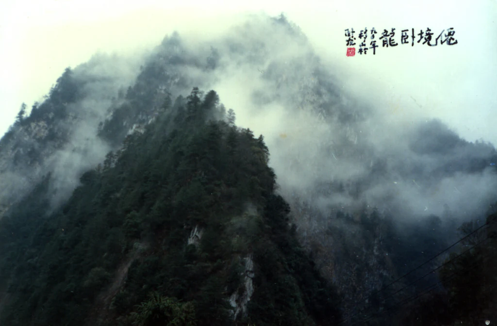 A steep mountain slope covered in dense forest partially obscured by thick white mist and low clouds.