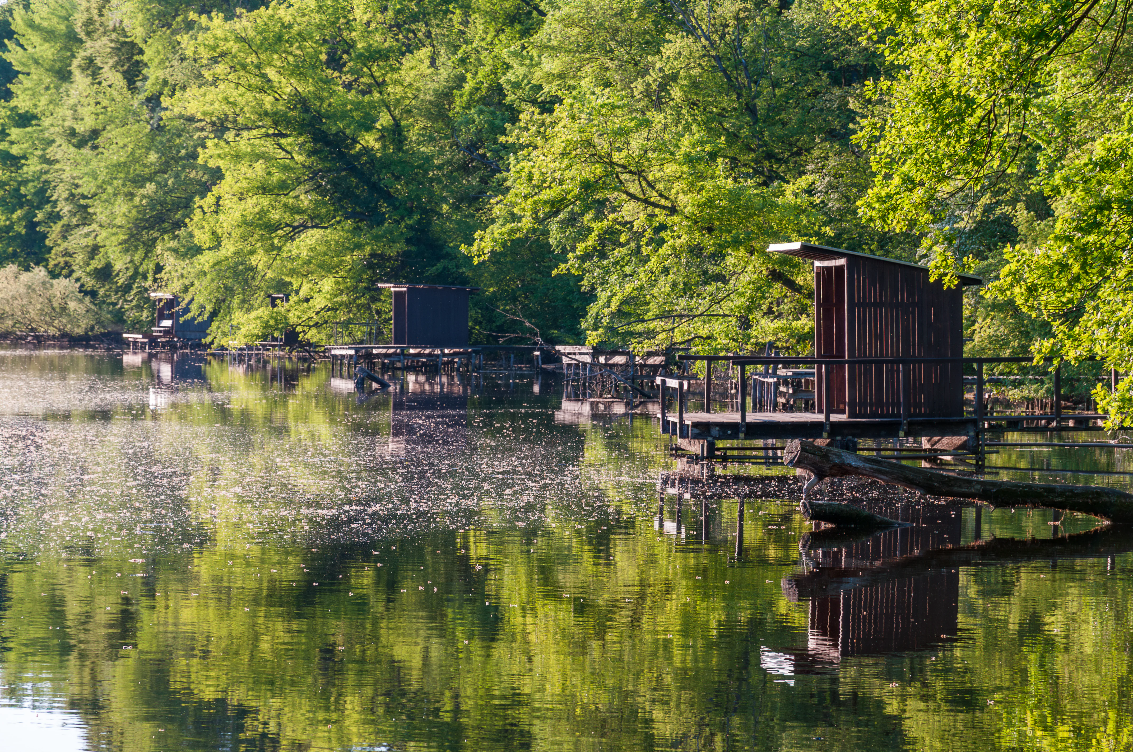 A row of wooden fisherman huts on platforms over a calm river surrounded by dense green trees.