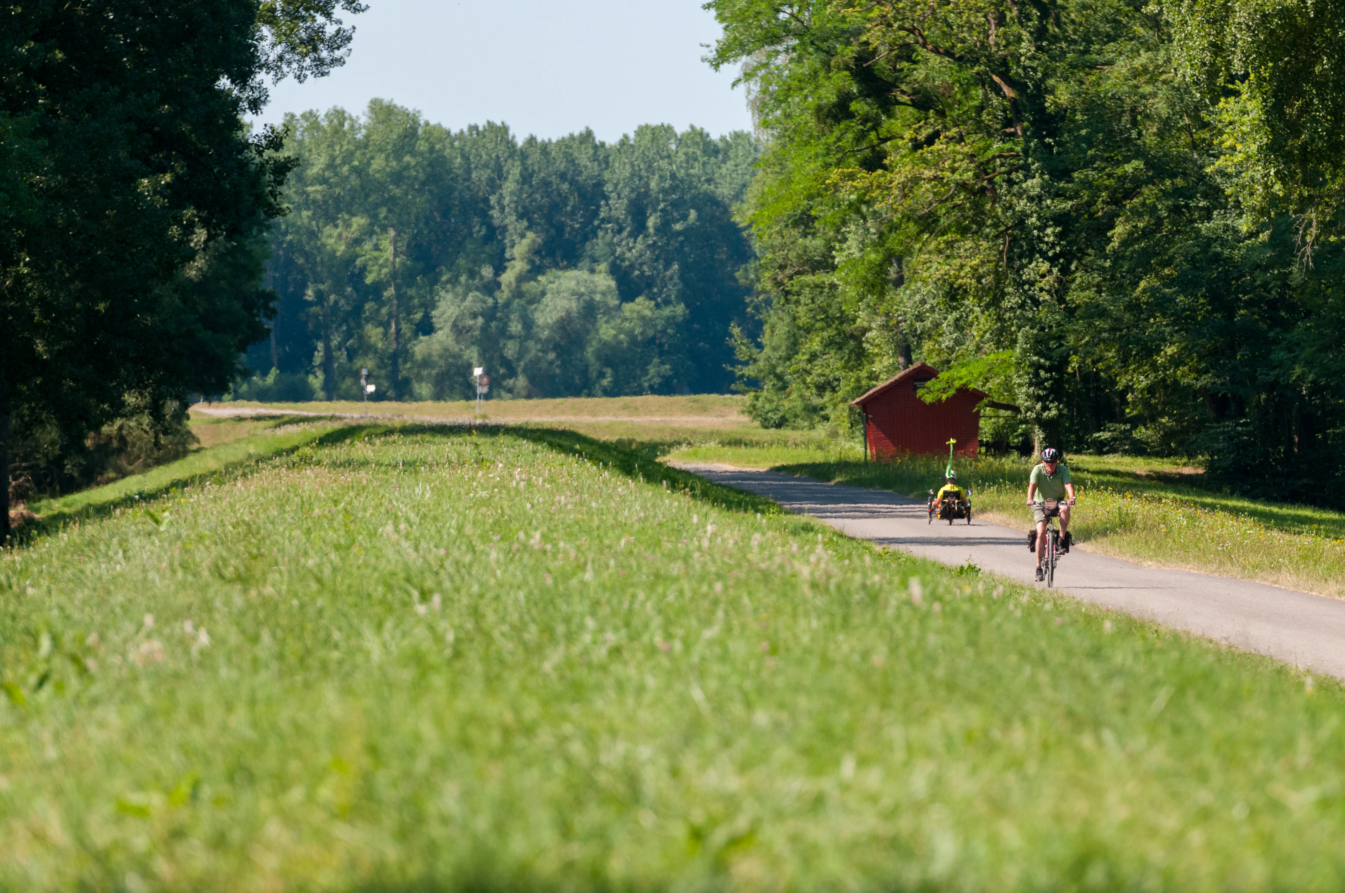 A person riding a bicycle on a paved trail atop a grassy levee with a small red hut and dense trees in the background.