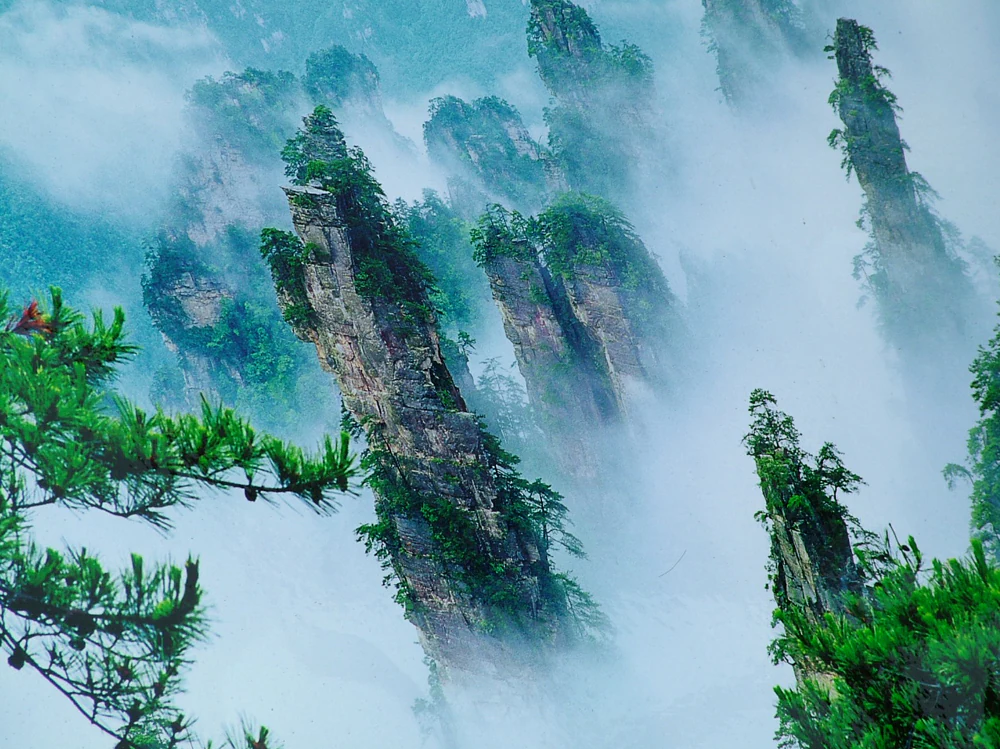 Tall, jagged sandstone pillars covered in greenery rise above a thick layer of white clouds.