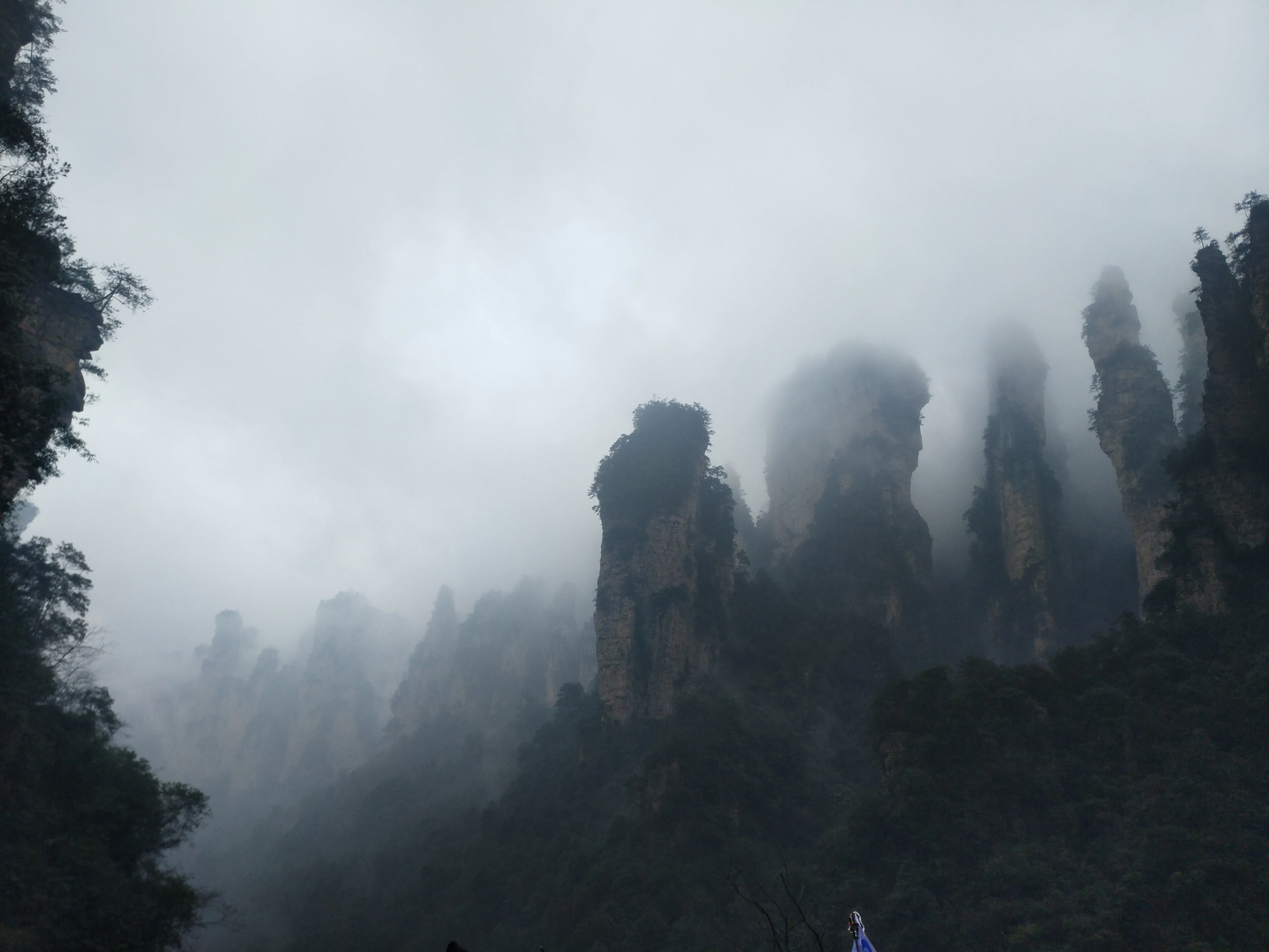 Tall sandstone pillar rock formations emerging from thick mist and fog in a mountainous forest landscape.