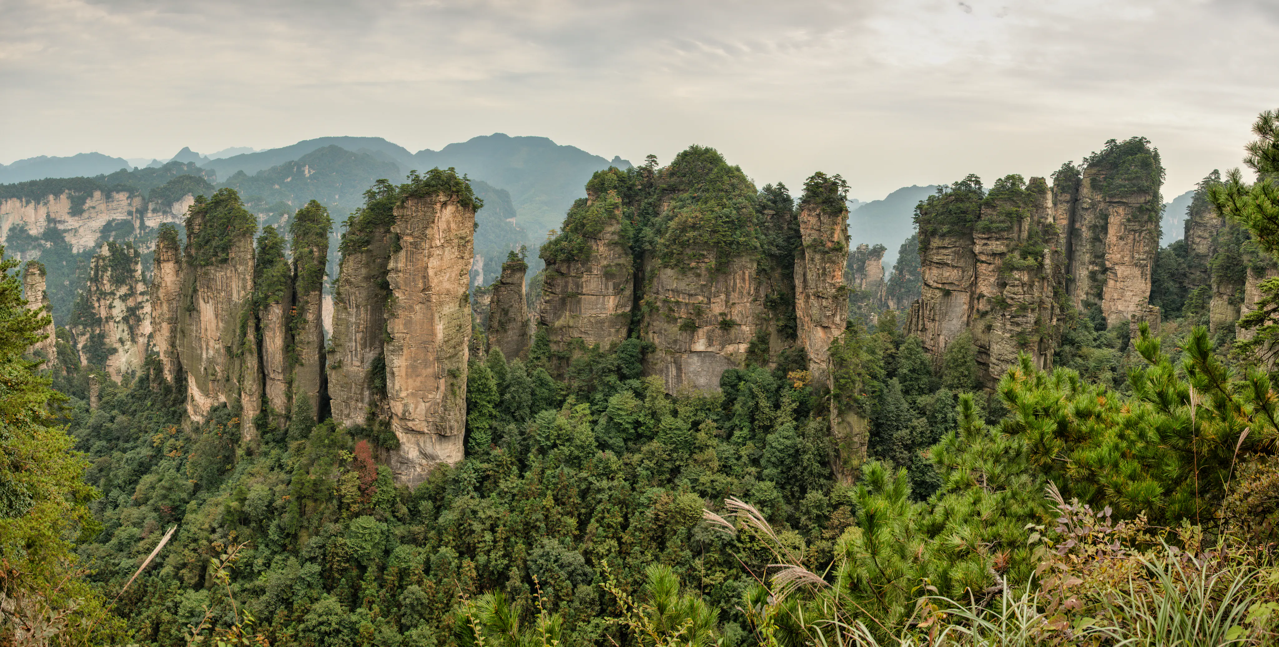 Panoramic shot of vertical sandstone rock formations rising from a lush green forest, under a cloudy, overcast sky.