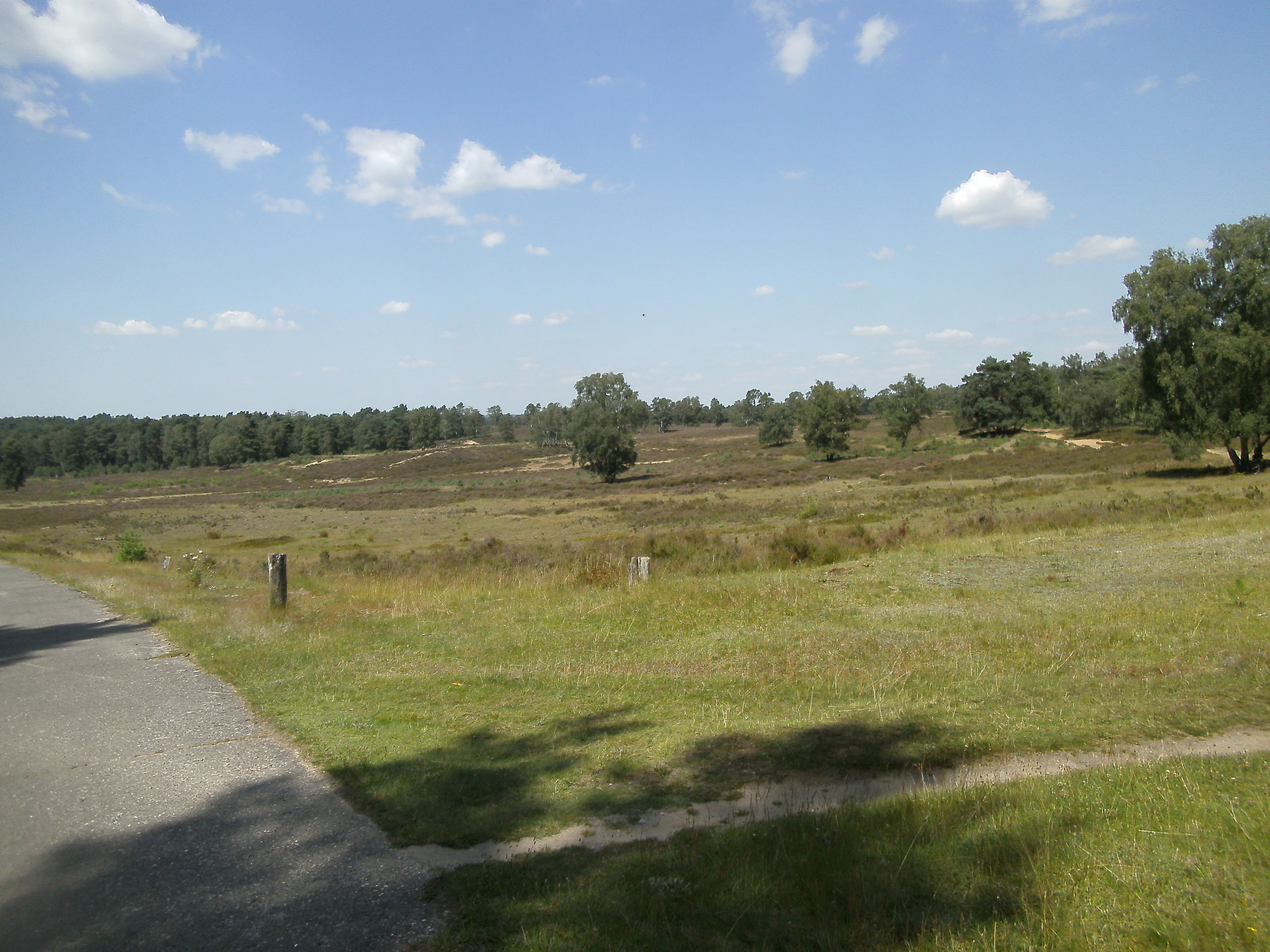 A wide angle view of an open, grassy heathland landscape under a blue sky with scattered clouds, with a paved road visible in the bottom left corner.