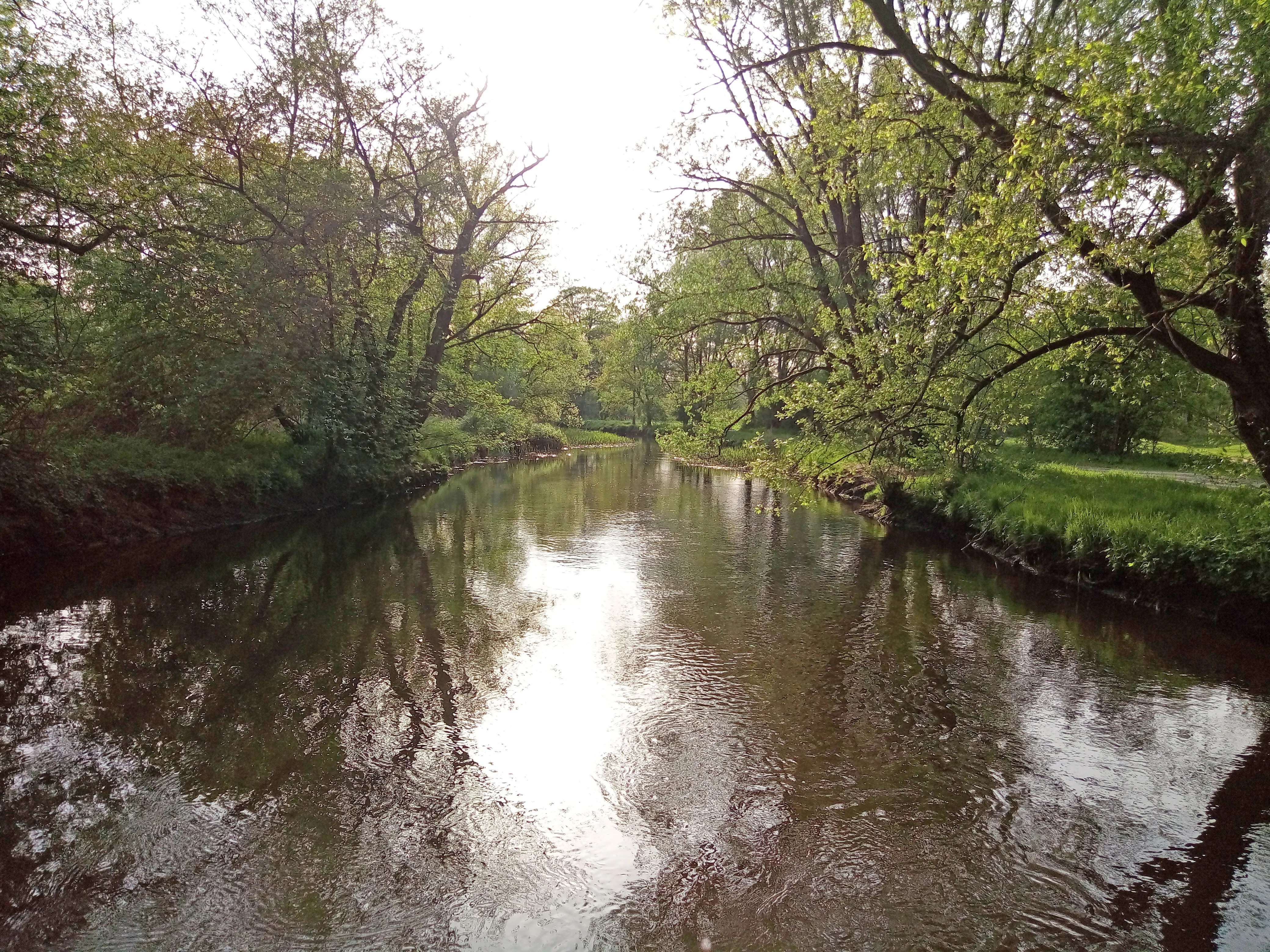 A peaceful river flows through a lush, green riparian forest, with trees overhanging the water and sunlight reflecting off the surface.