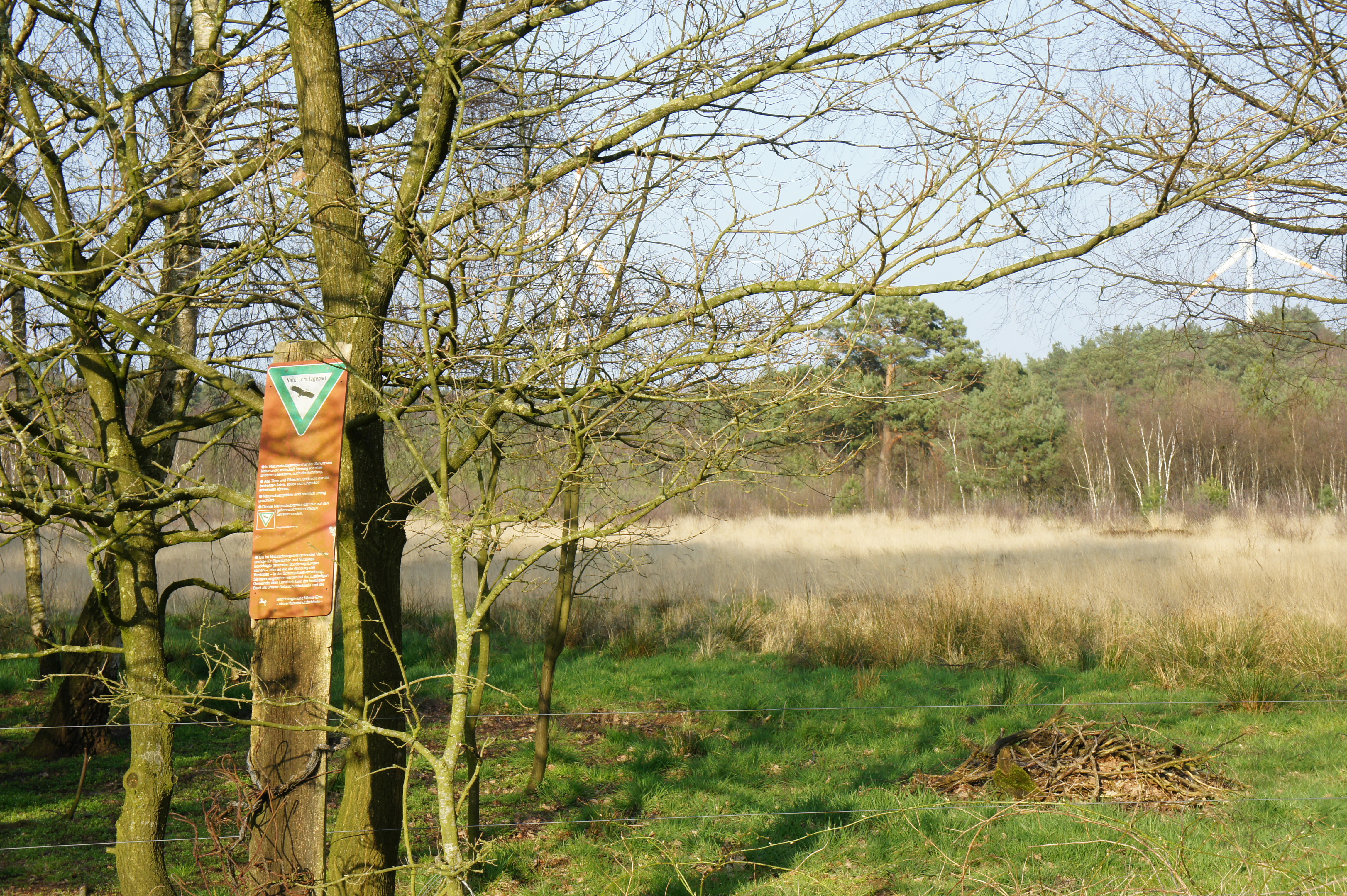A triangular green and orange nature reserve sign attached to a tree trunk at the edge of a moor landscape with bare trees and grasses.