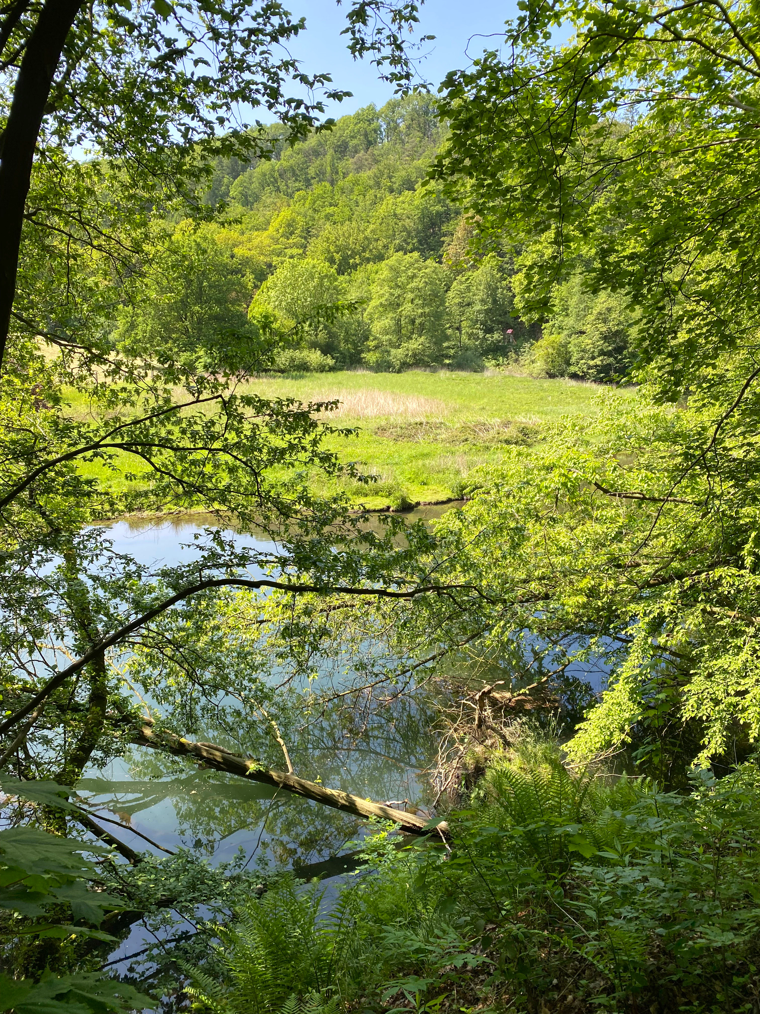 A view through trees looking out over a river winding through a green meadow with a wooded hillside in the background.