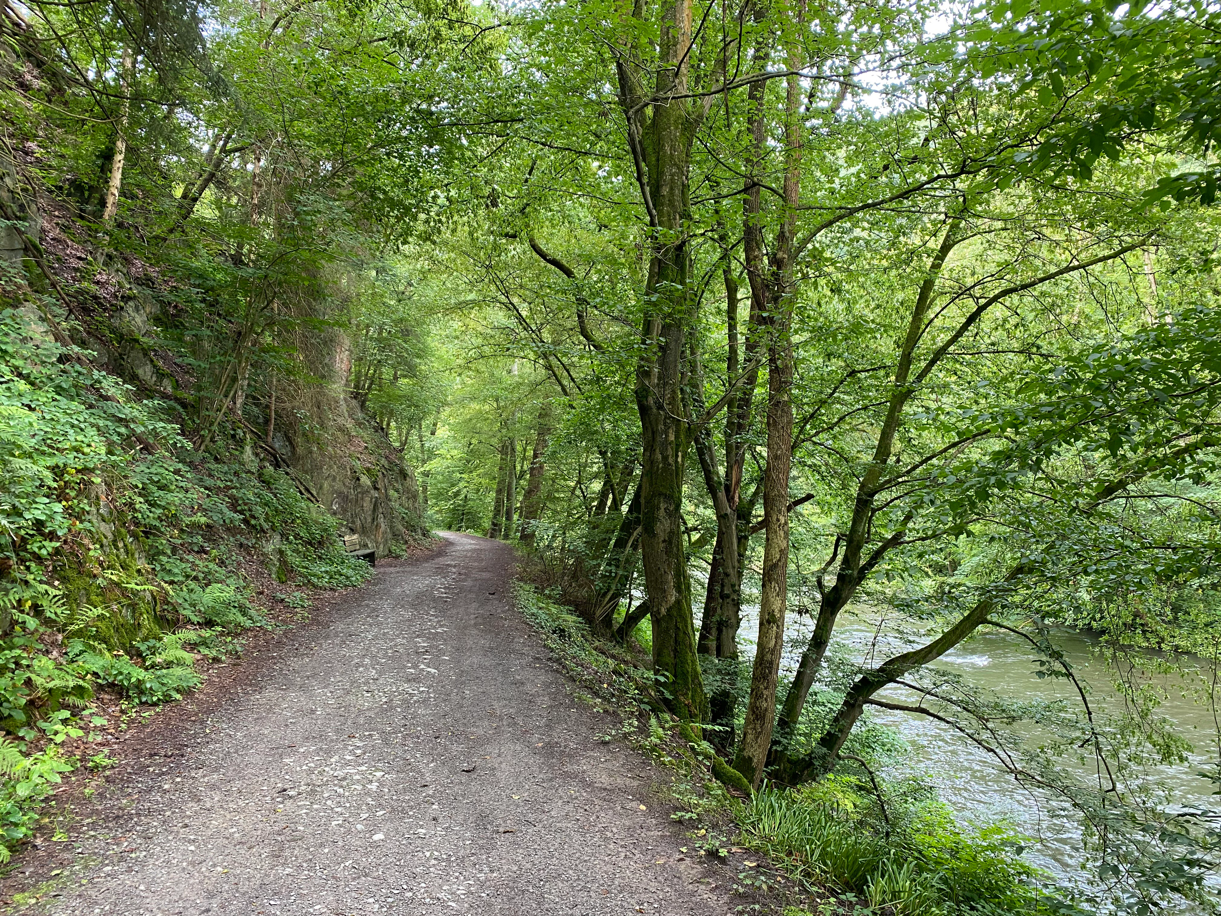 A gravel hiking trail runs along a riverbank through a lush, green deciduous forest.