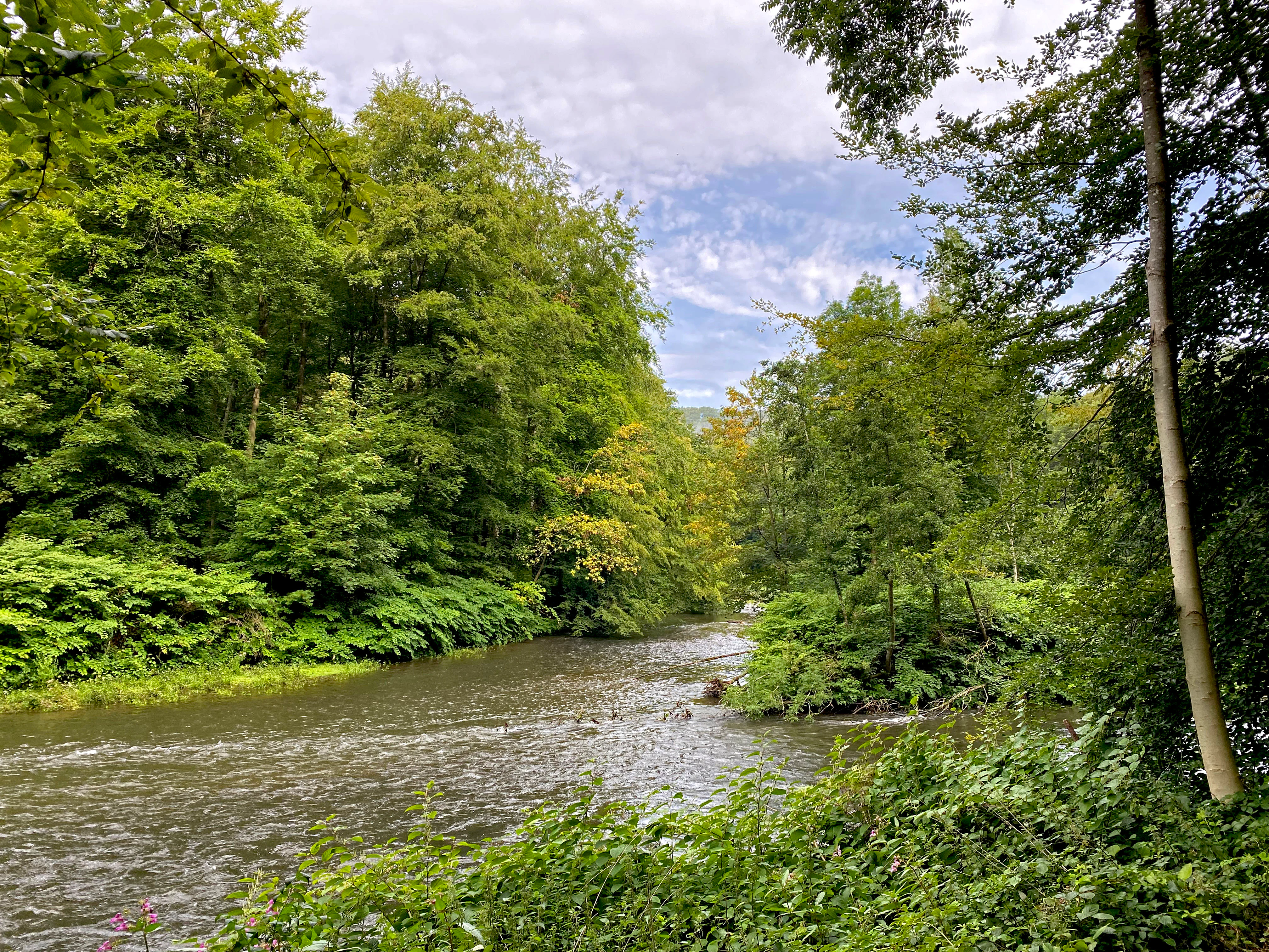 A calm river flowing through a lush green, tree-lined valley with a small wooded island in the middle.
