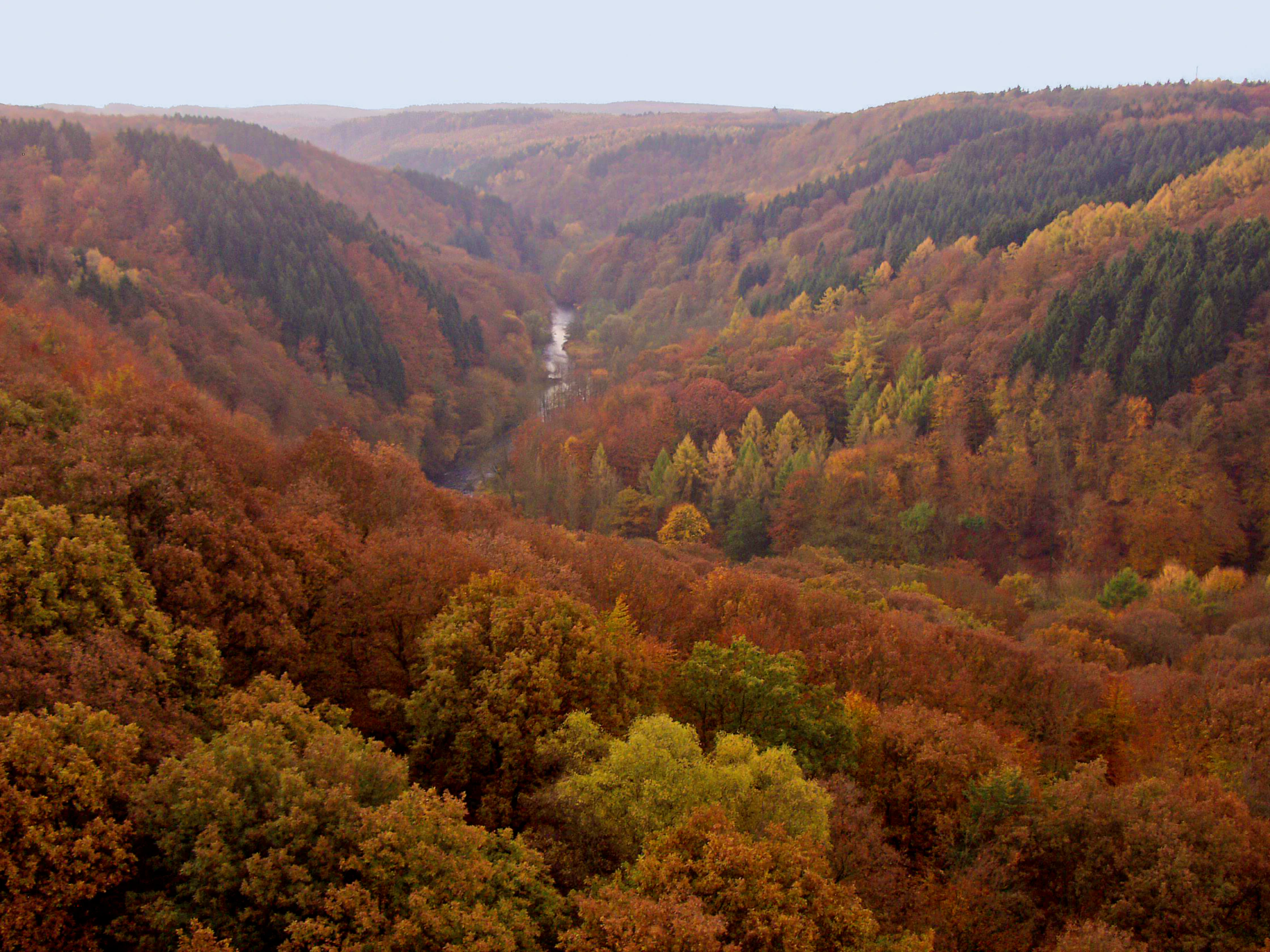 A wide, elevated view looking into a valley filled with dense forest displaying autumn colors of orange, red, and yellow, with the Wupper river visible as a thin strip winding through the center.
