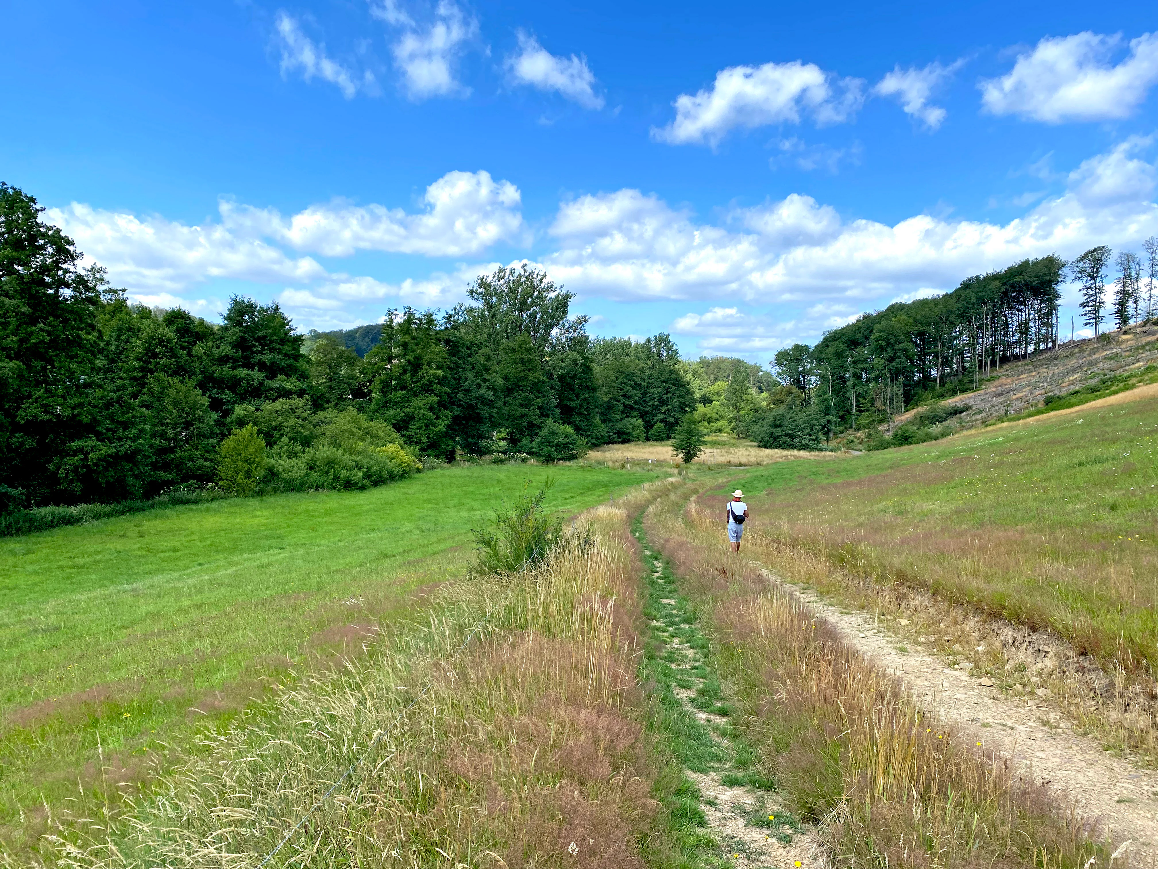 A dirt hiking trail leads away from the viewer through a grassy meadow bordered by trees under a blue sky with scattered clouds, with a person walking in the distance.