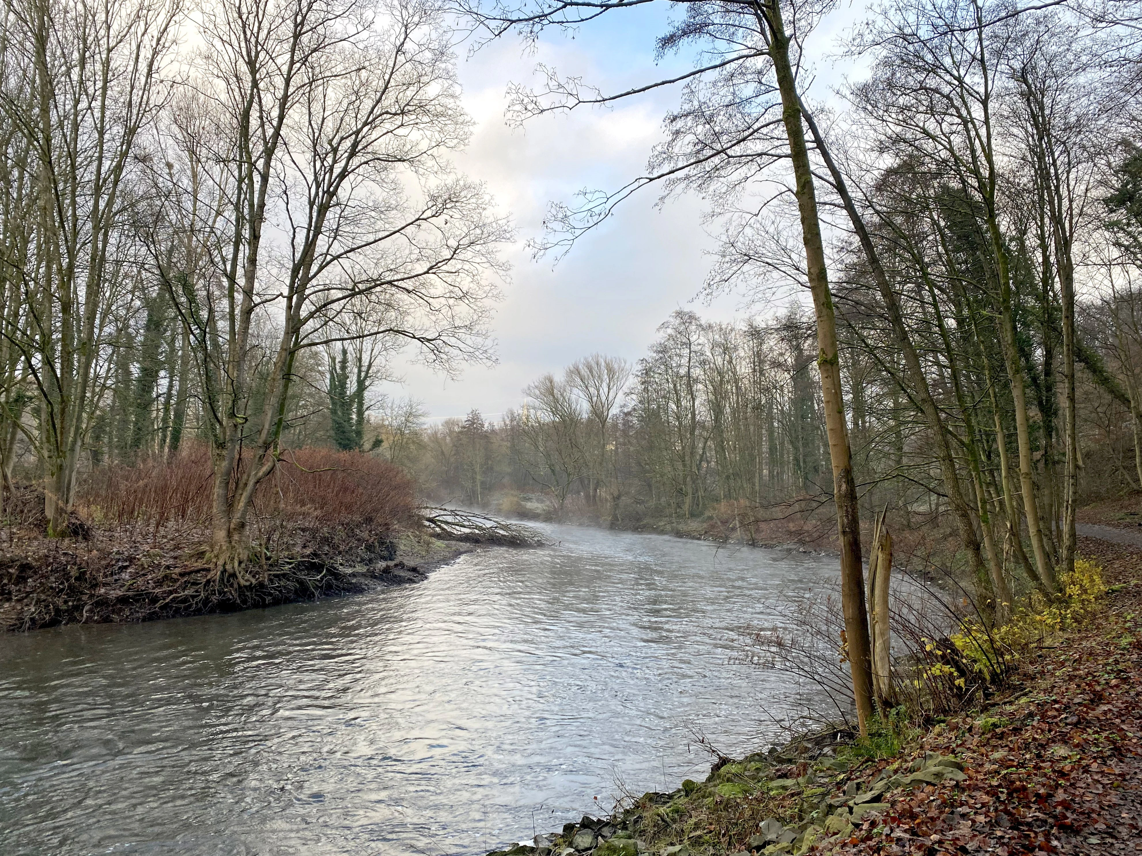 A tranquil river flows through a dense deciduous forest with bare trees along the banks on an overcast day.